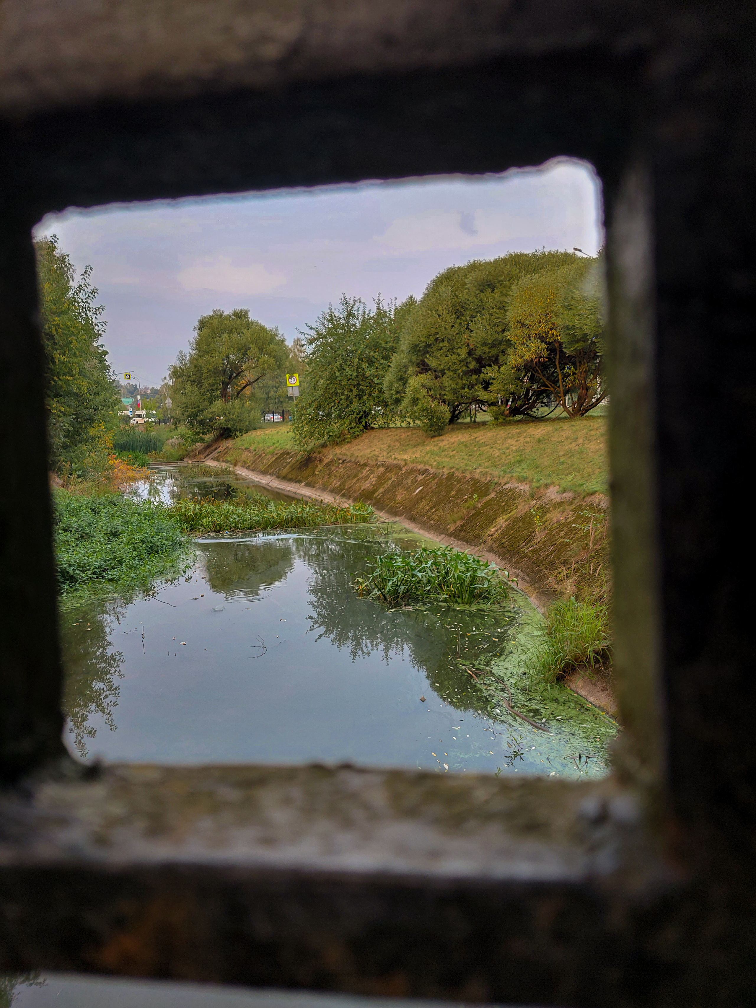 Разные фото на телефон.Города,природа. Фотограф-анималист Юлия Германика