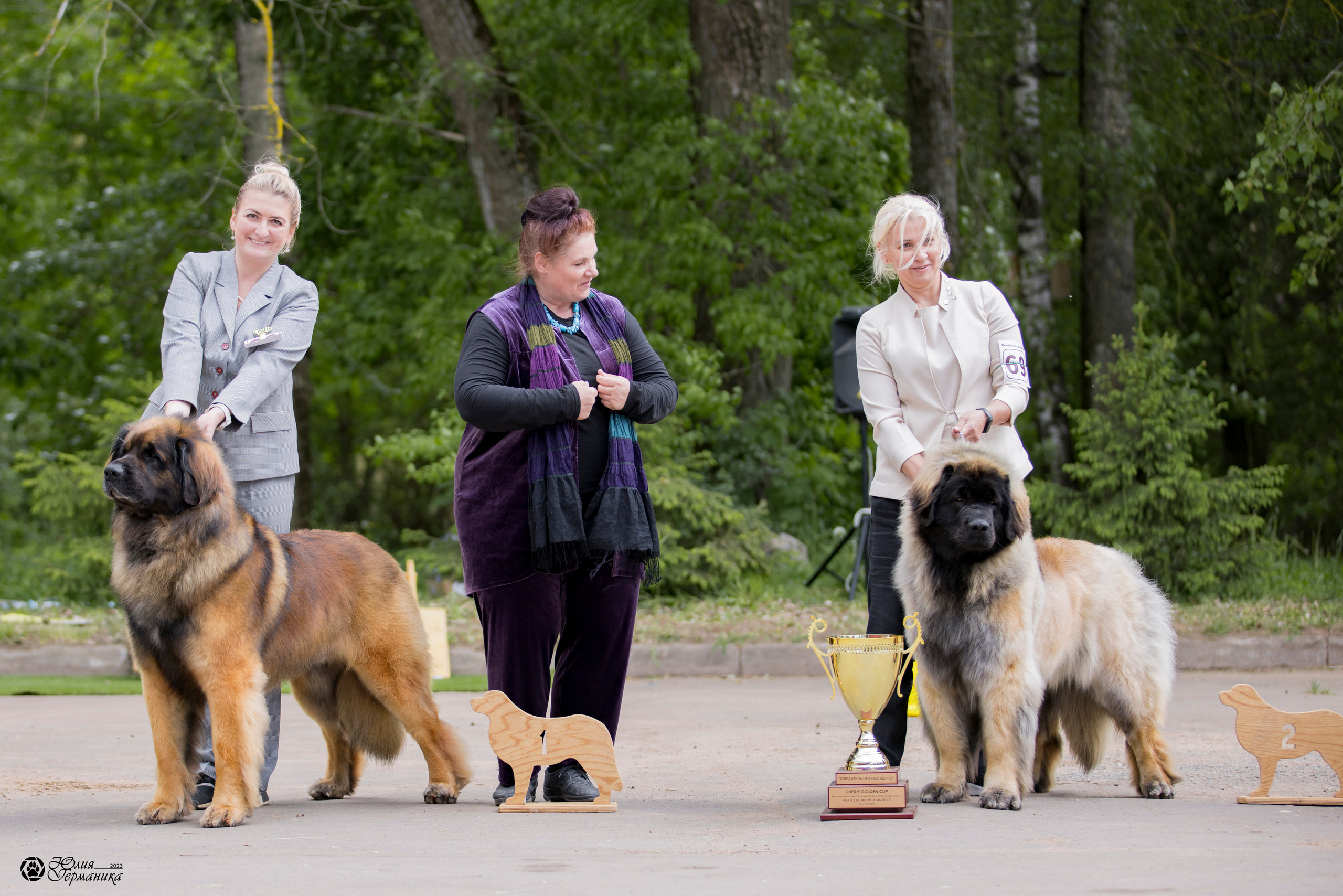 Националка Леонбергеров 28.05.2023. Фотограф-анималист Юлия Германика