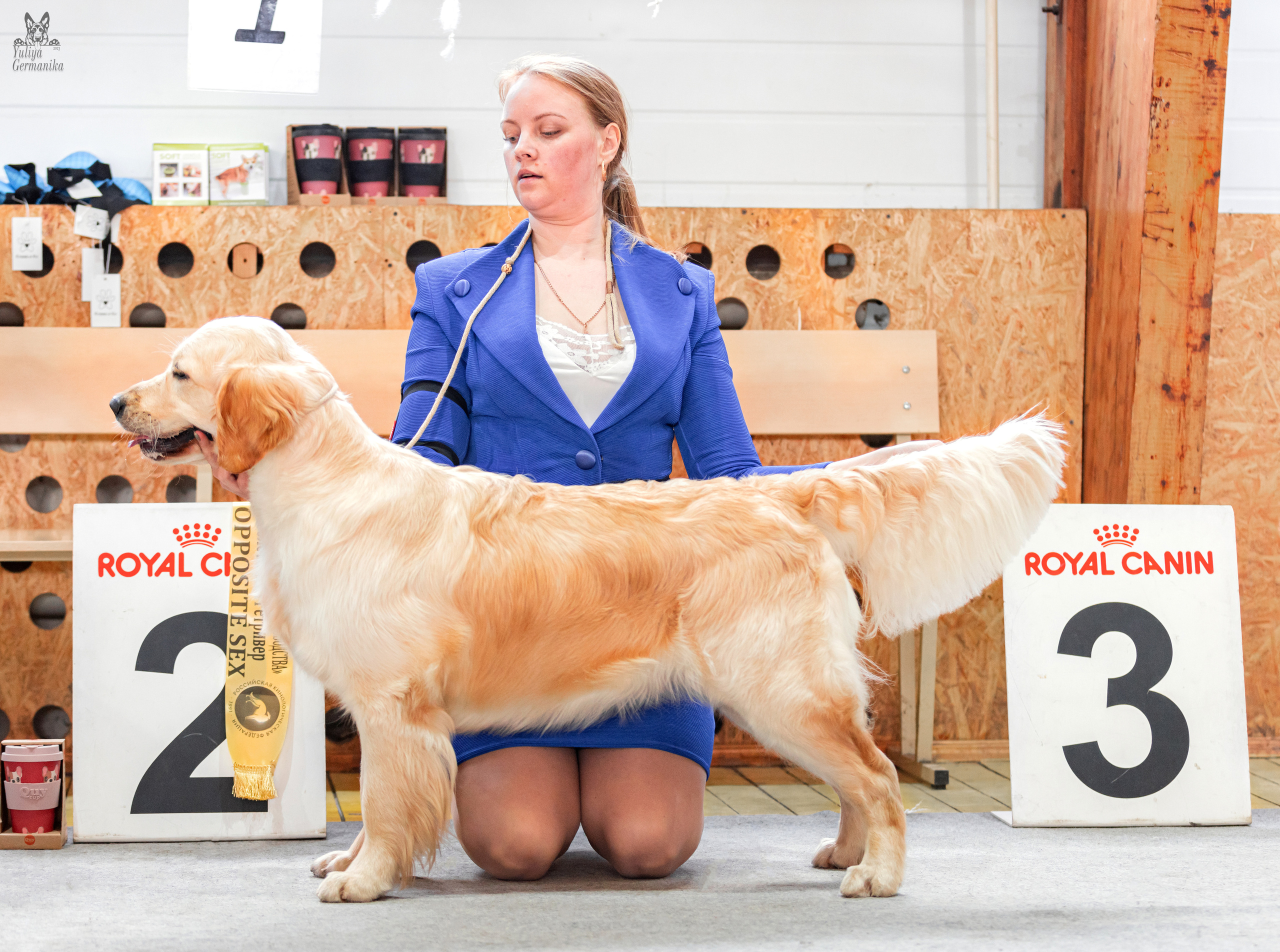 Тверь 01.04.2023. Фотограф-анималист Юлия Германика