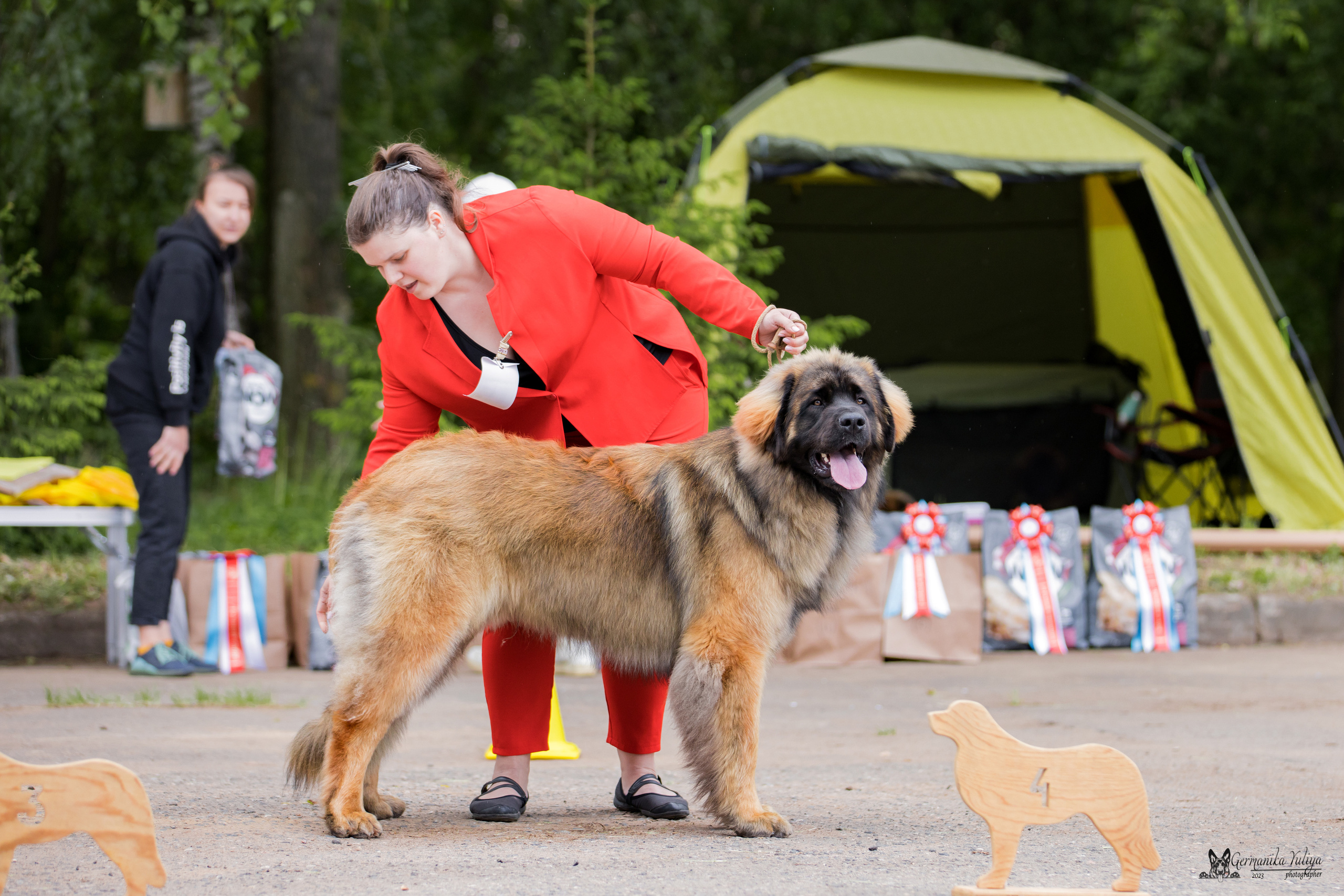 Националка Леонбергеров 28.05.2023. Фотограф-анималист Юлия Германика