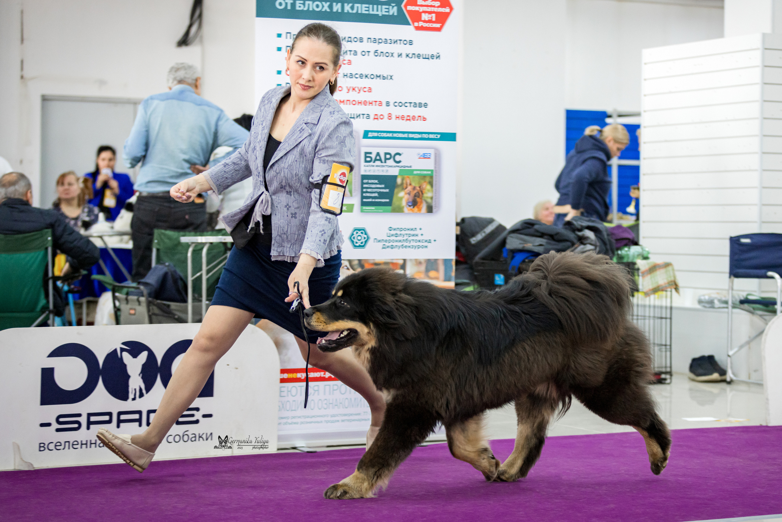 Сфера+МД 8-9.04.2023. Фотограф-анималист Юлия Германика