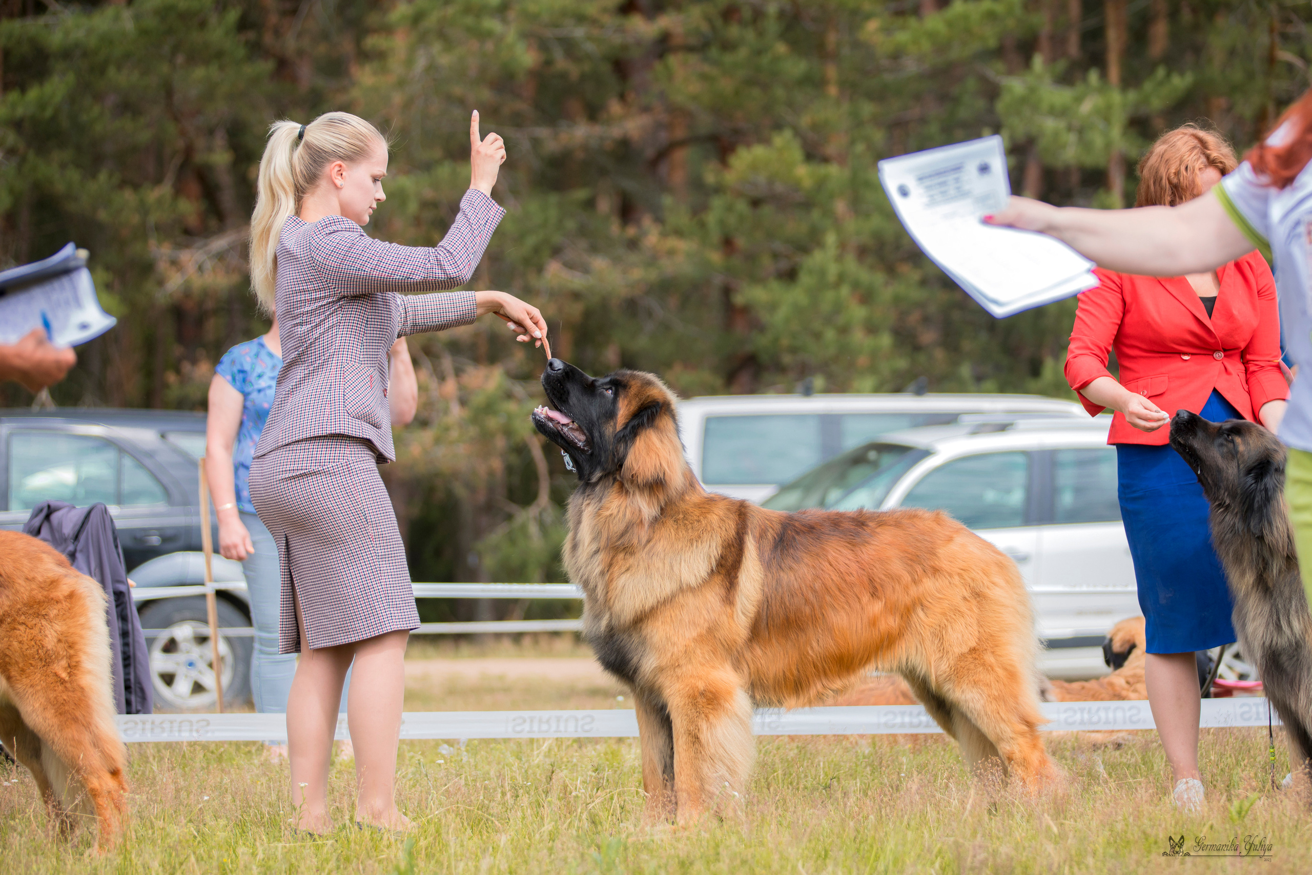 Волжанка 8.07.2023. Фотограф-анималист Юлия Германика