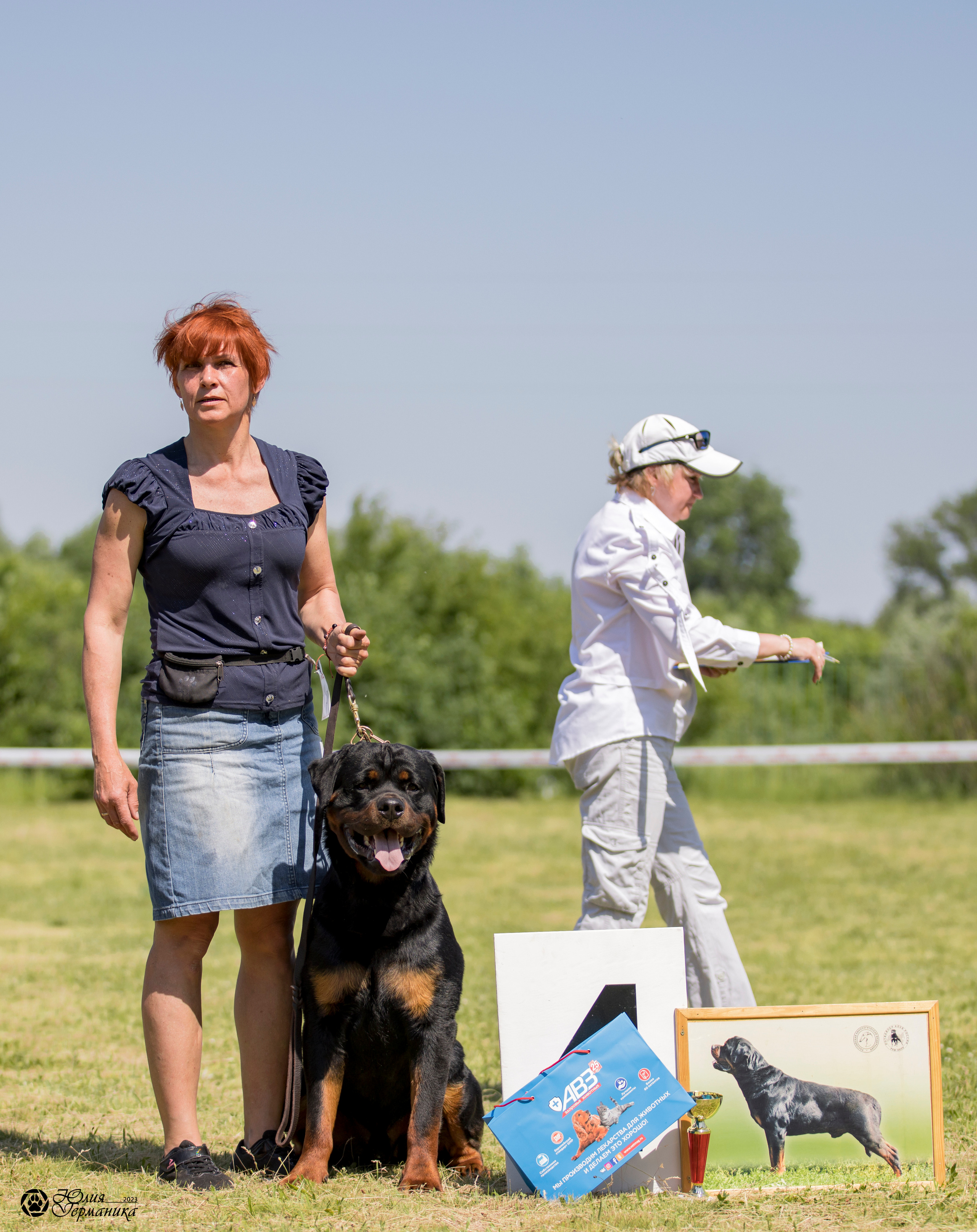 Воронеж 2хмоно ротвейлеров 3-4.06.2023. Фотограф-анималист Юлия Германика