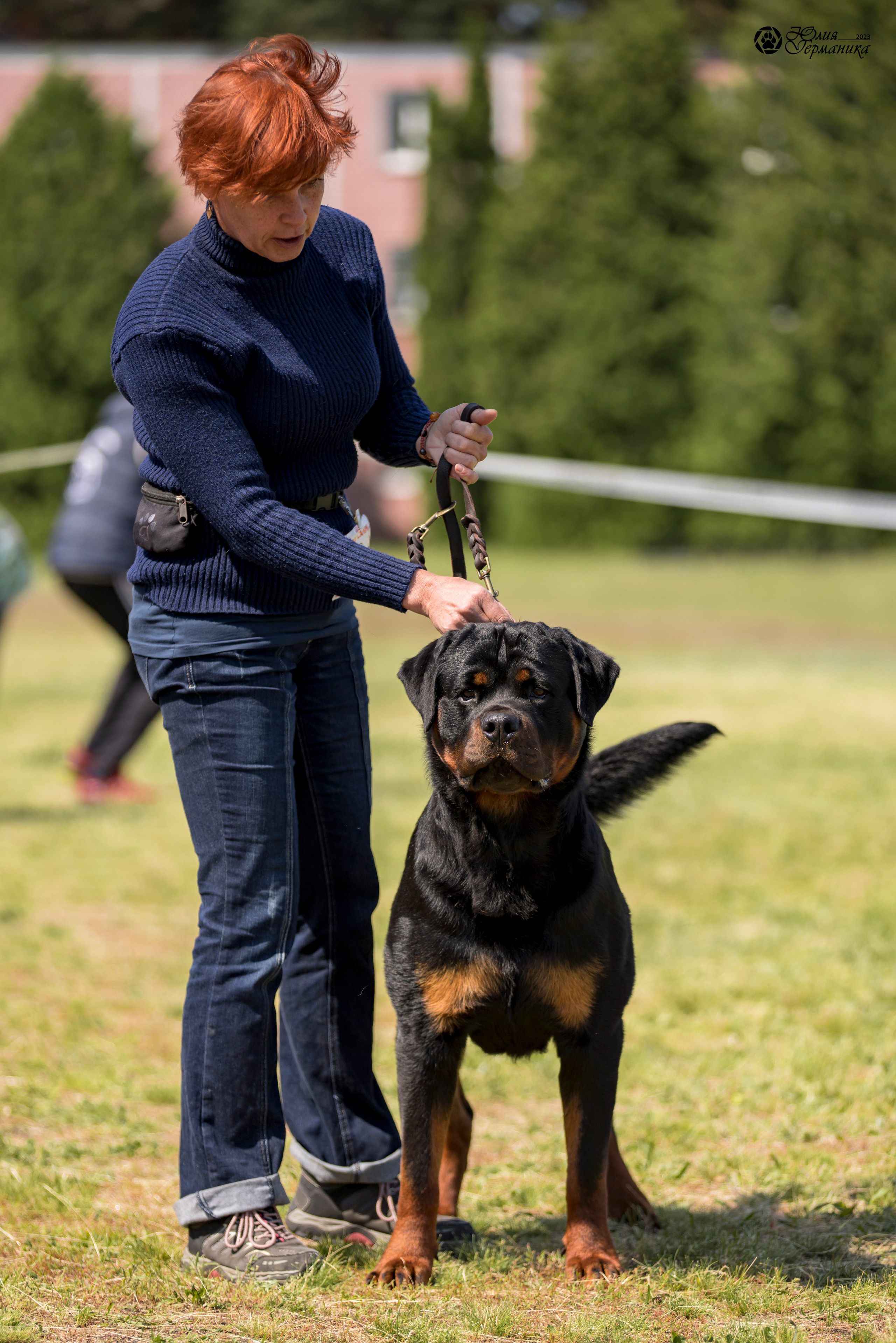 Воронеж 2хмоно ротвейлеров 3-4.06.2023. Фотограф-анималист Юлия Германика
