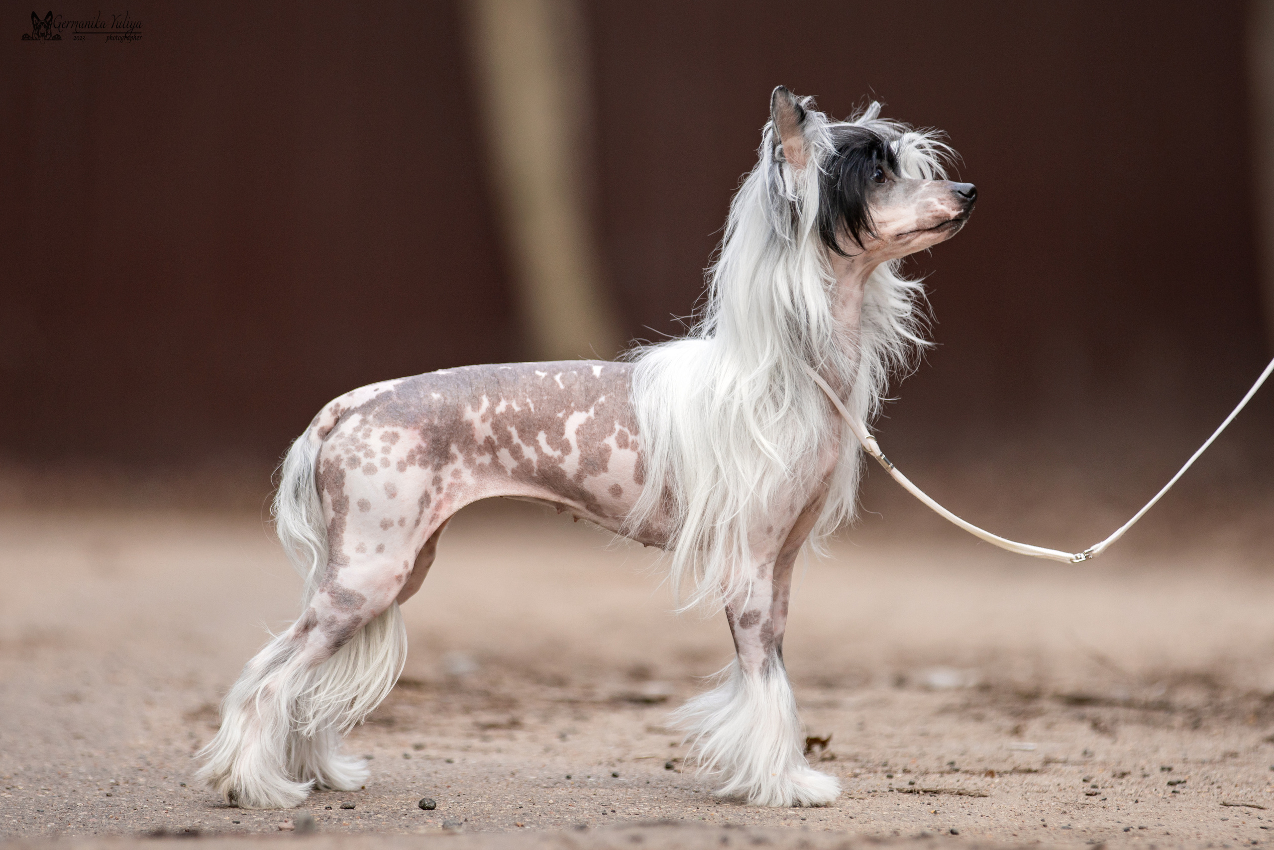 Сфера+МД 8-9.04.2023. Фотограф-анималист Юлия Германика