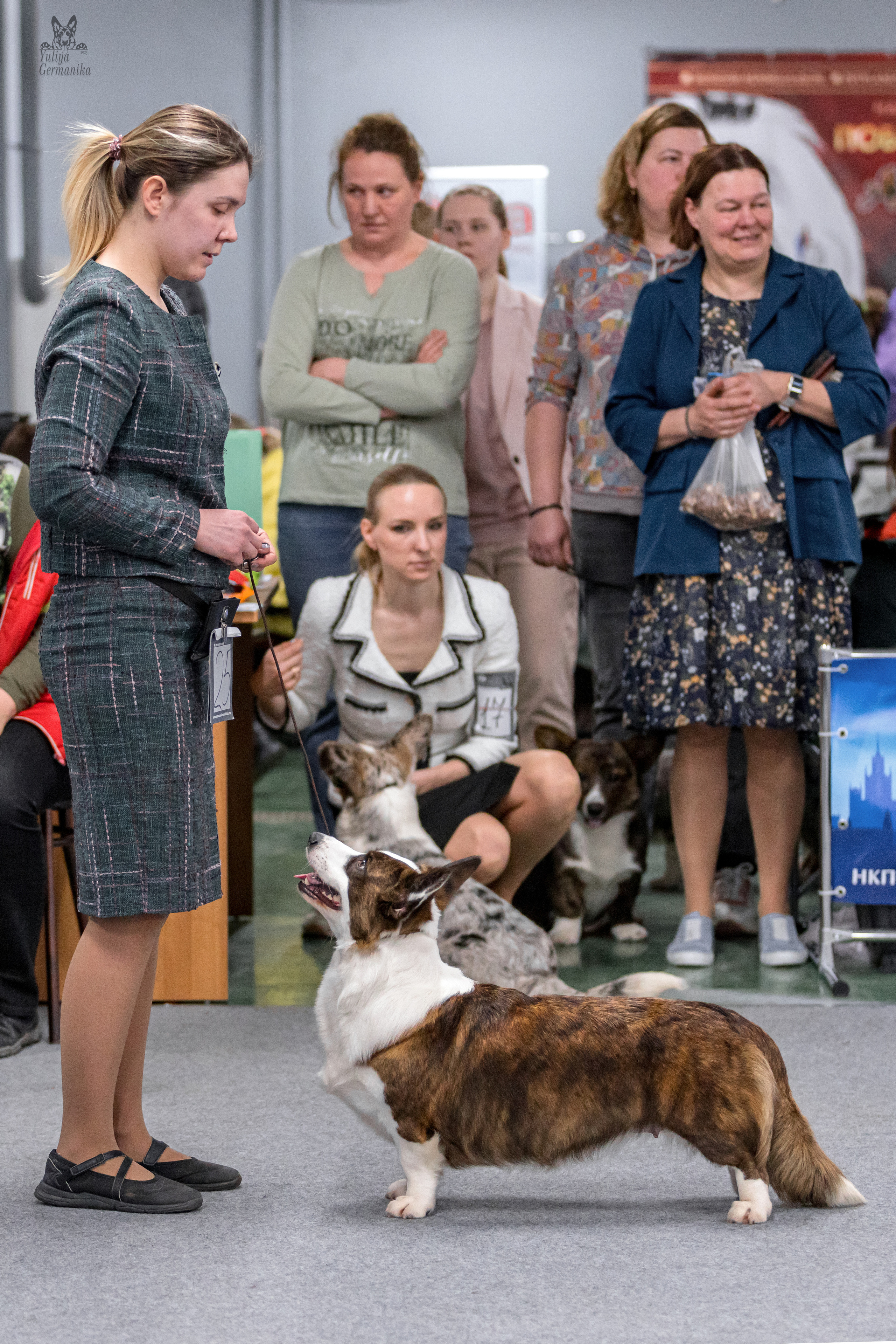 Сфера+доберманы 02.04.2023. Фотограф-анималист Юлия Германика