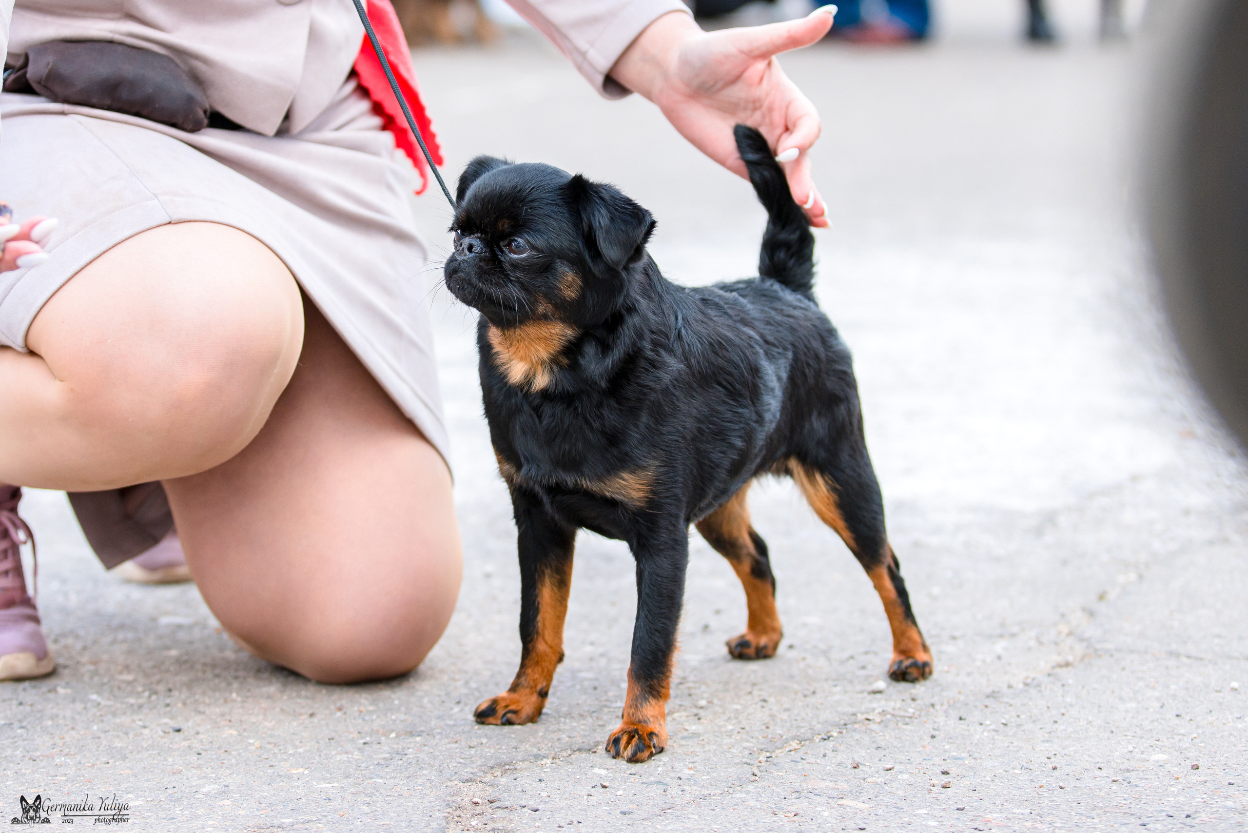 Измайлово 21.05.2023. Фотограф-анималист Юлия Германика