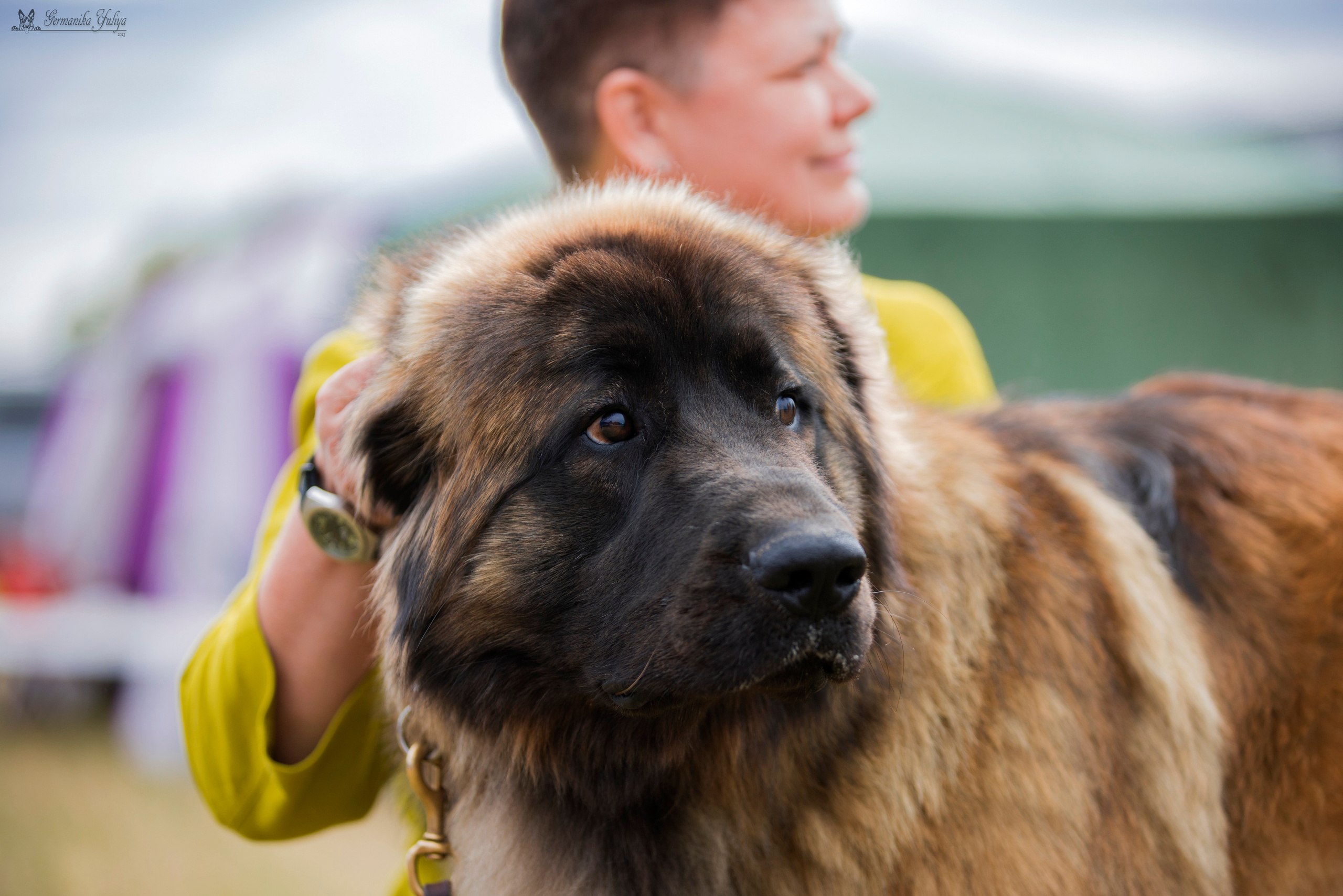 Волжанка 8.07.2023. Фотограф-анималист Юлия Германика