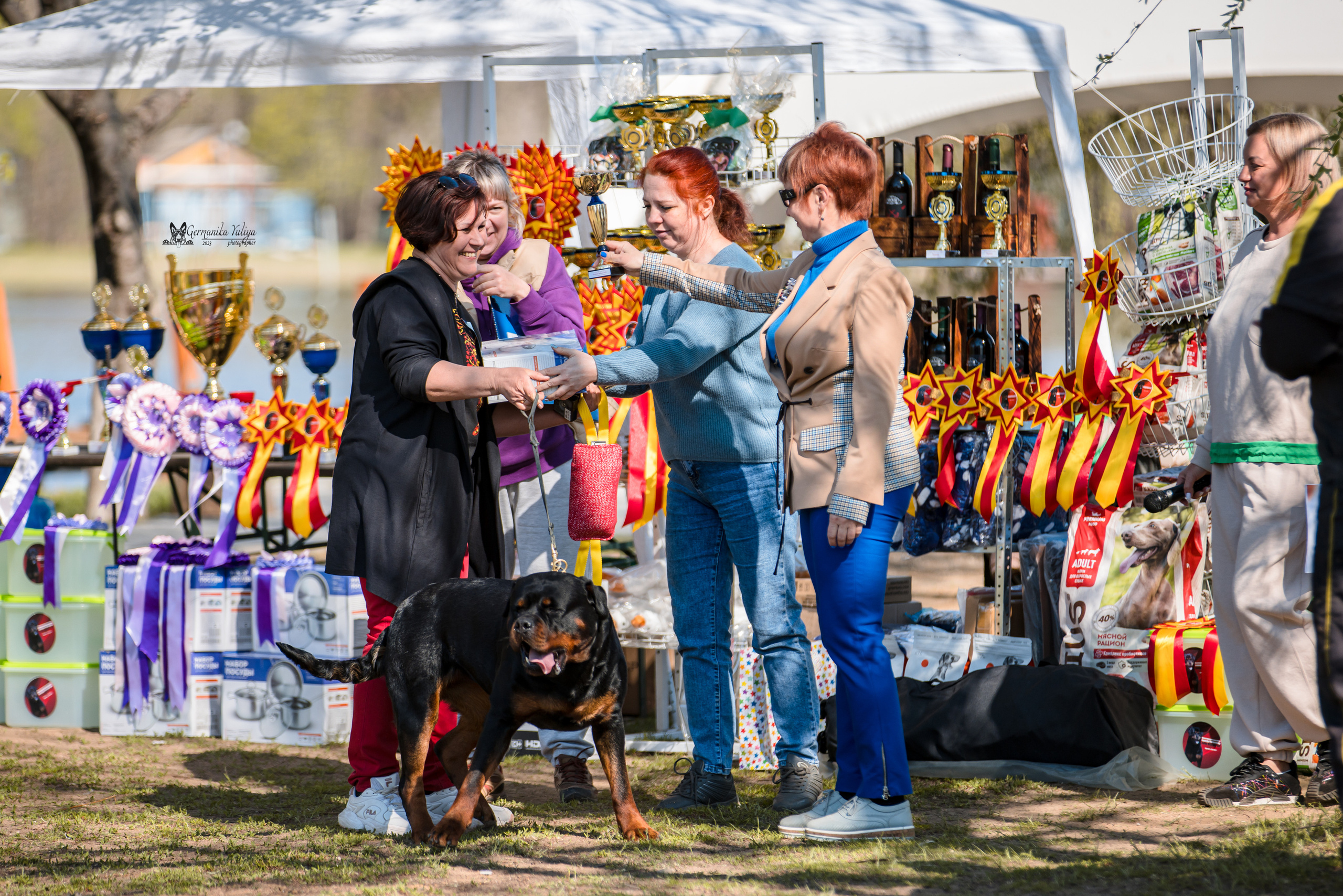 Саратов 2хмоно ротвейлеров 22-23.04.2023. Фотограф-анималист Юлия Германика