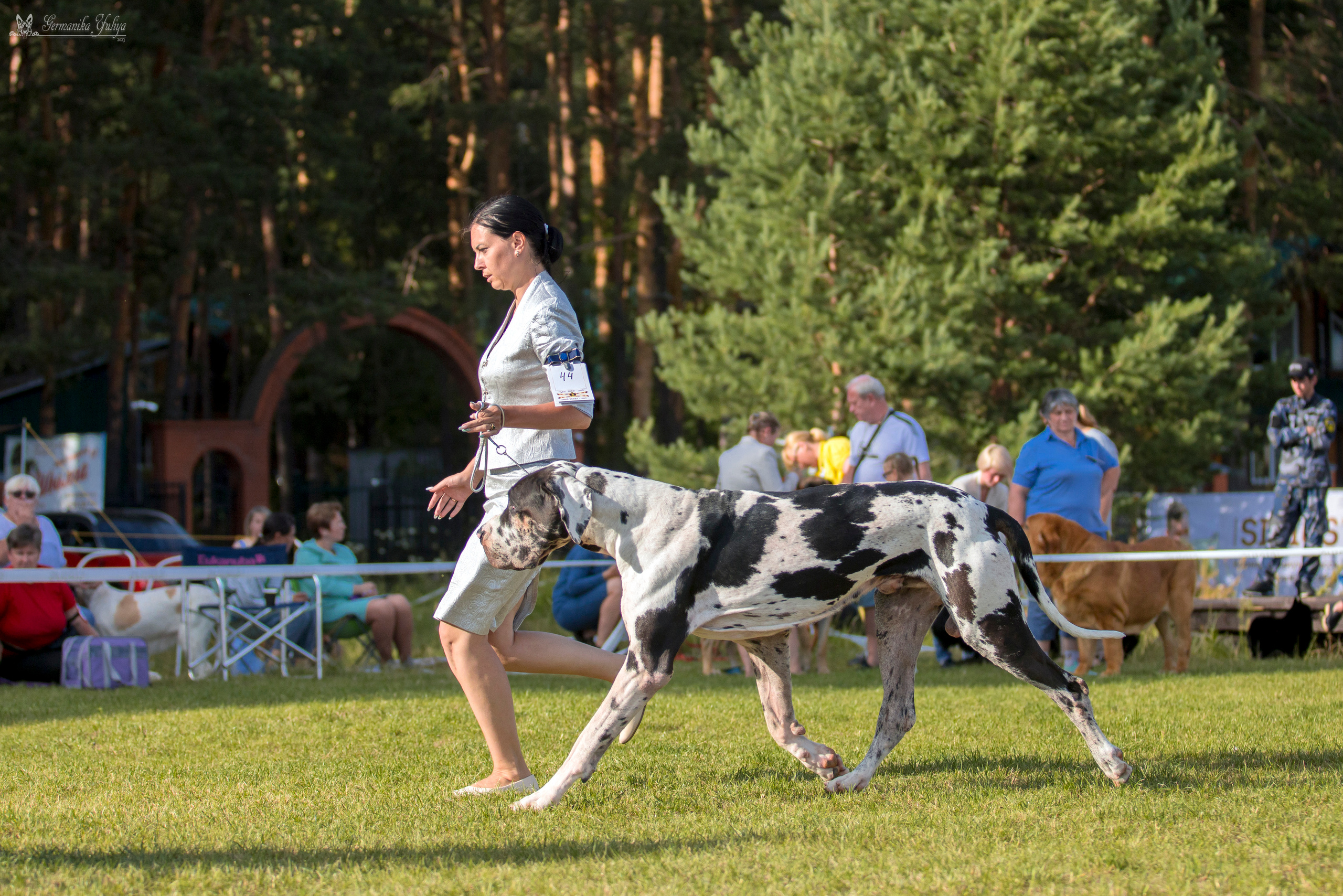 Волжанка 8.07.2023. Фотограф-анималист Юлия Германика