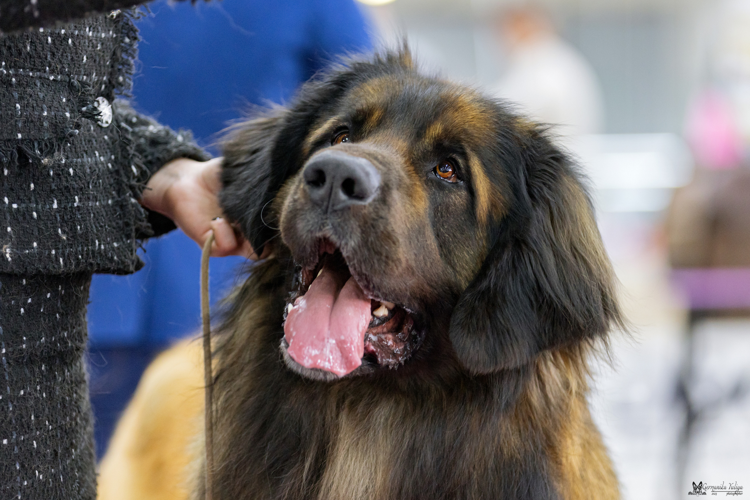 МД 15.04.2023. Фотограф-анималист Юлия Германика
