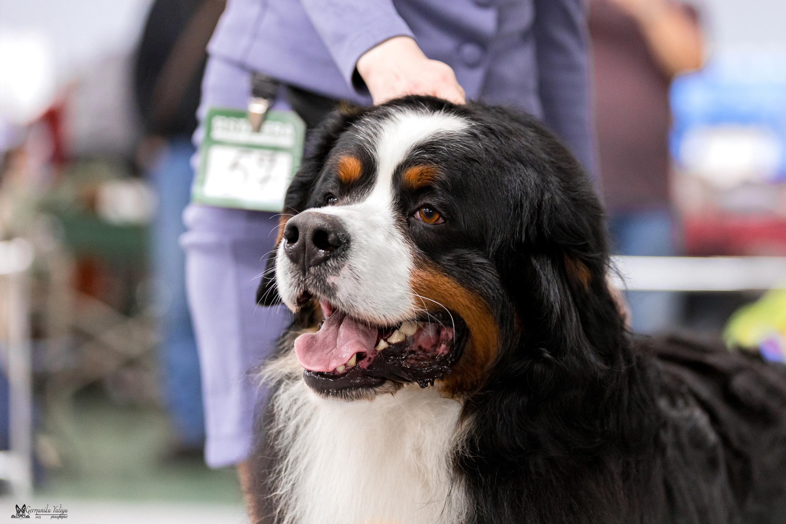 Сфера+МД 8-9.04.2023. Фотограф-анималист Юлия Германика