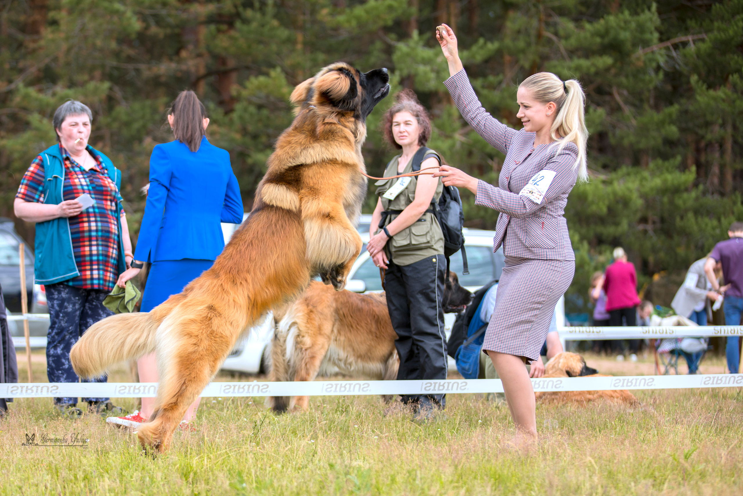 Волжанка 8.07.2023. Фотограф-анималист Юлия Германика
