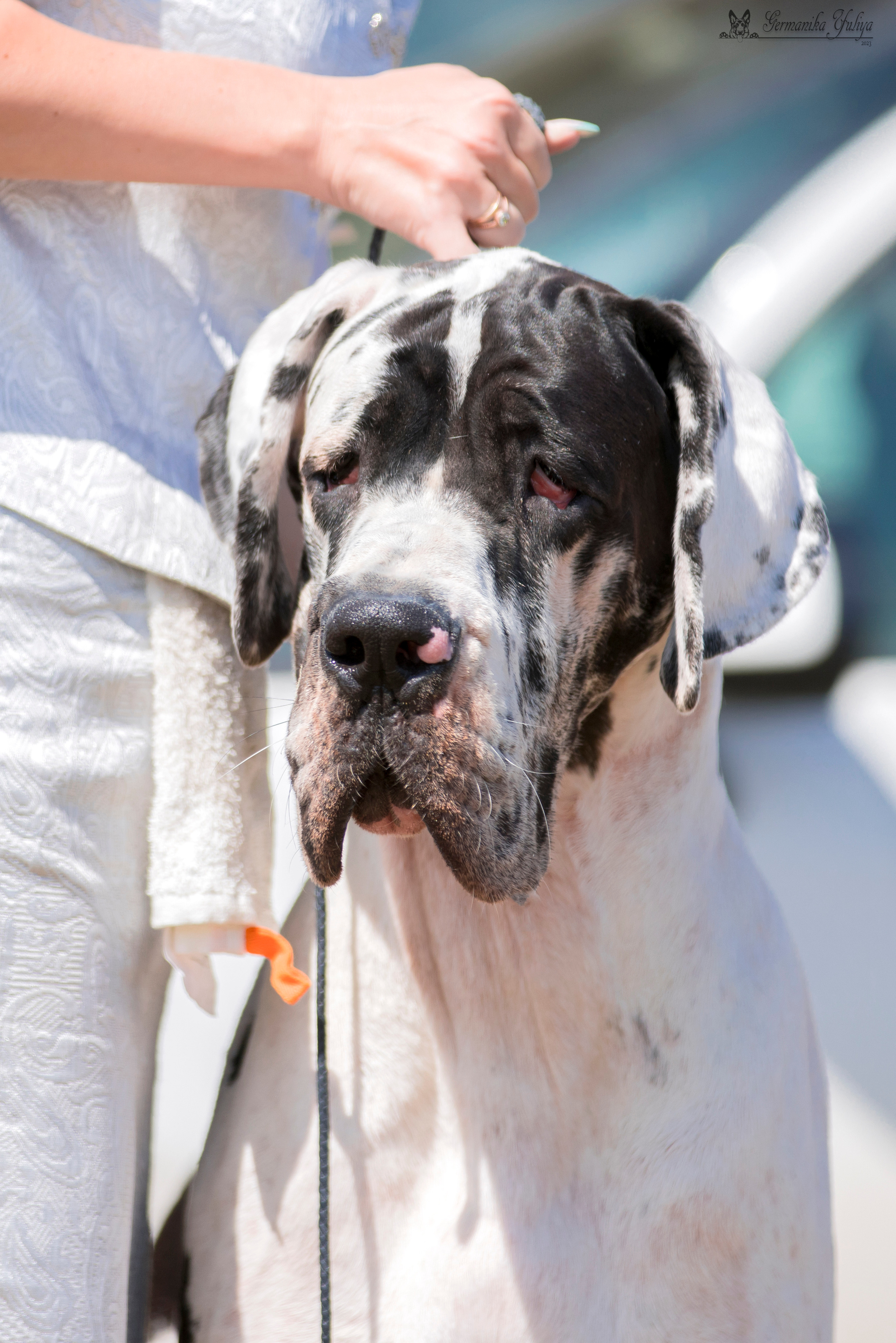 Волжанка 8.07.2023