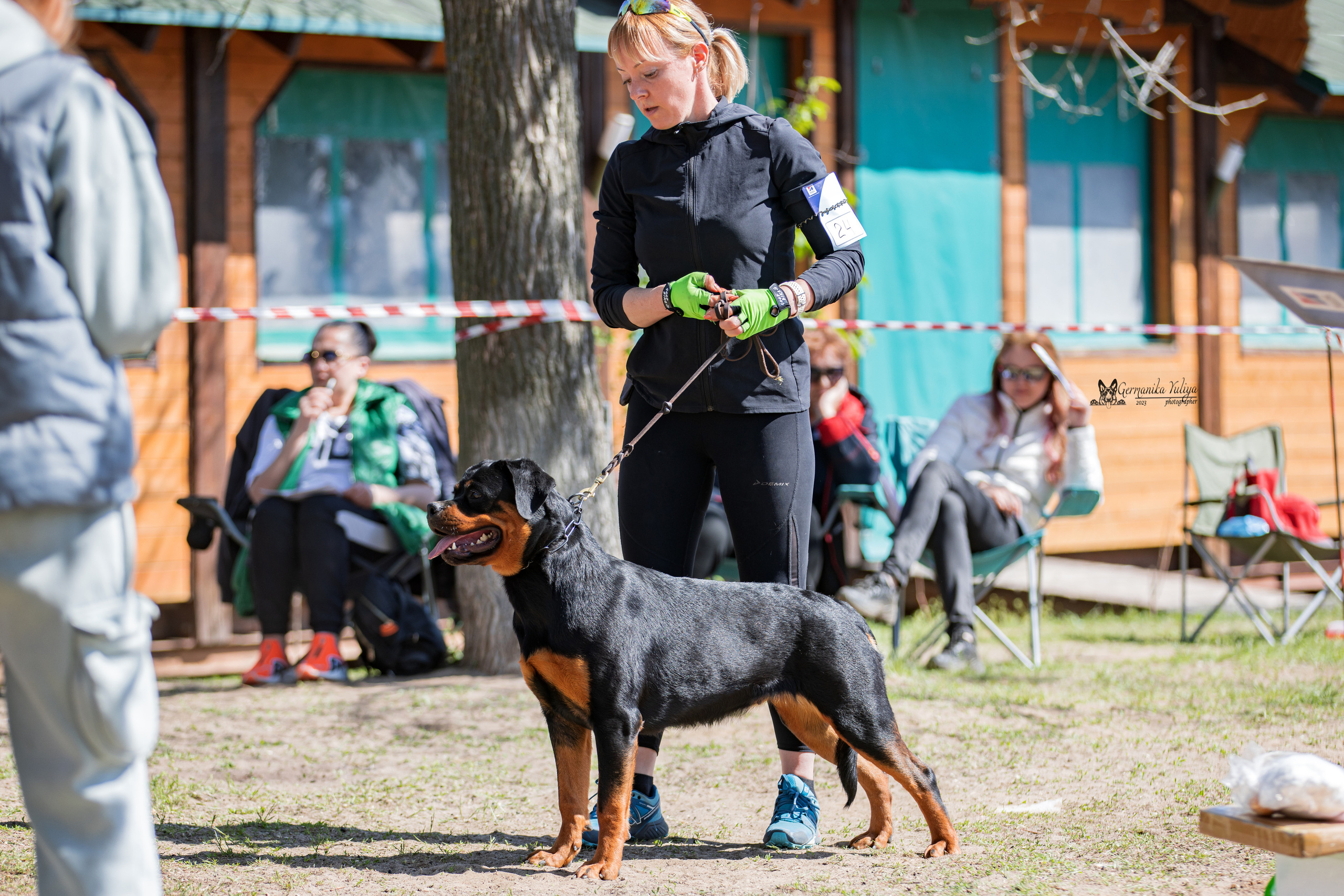Саратов 2хмоно ротвейлеров 22-23.04.2023. Фотограф-анималист Юлия Германика