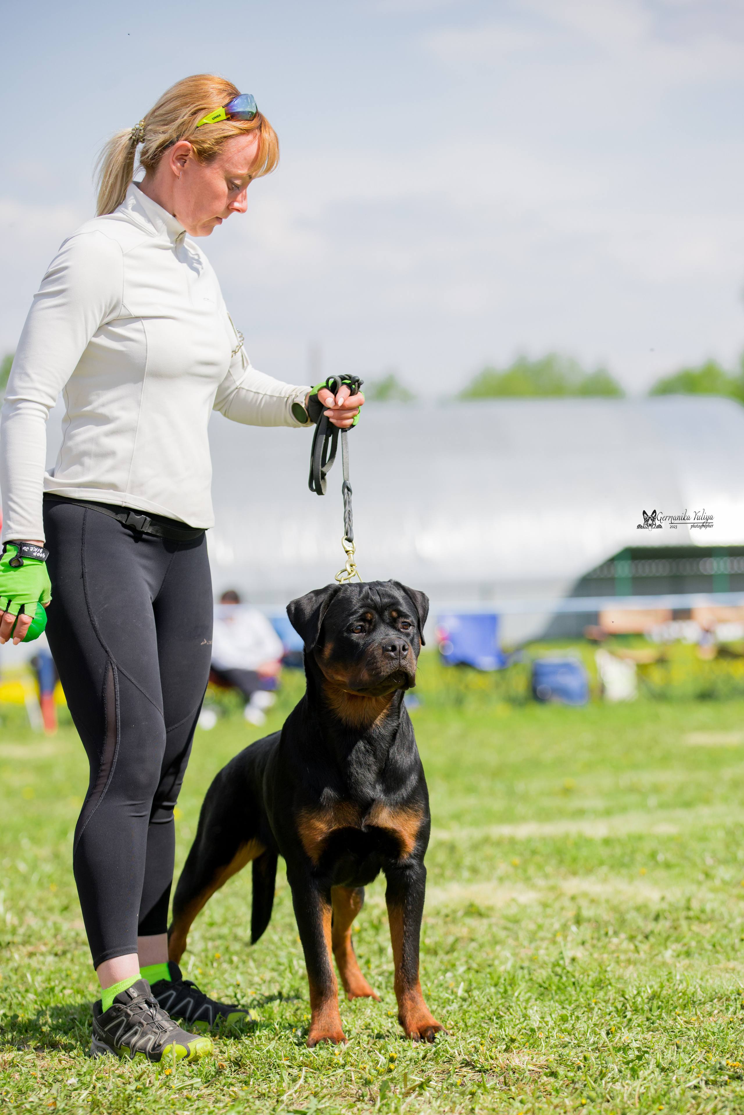 Нижний Новгород моно ротвейлеров 13.05.2023. Фотограф-анималист Юлия Германика