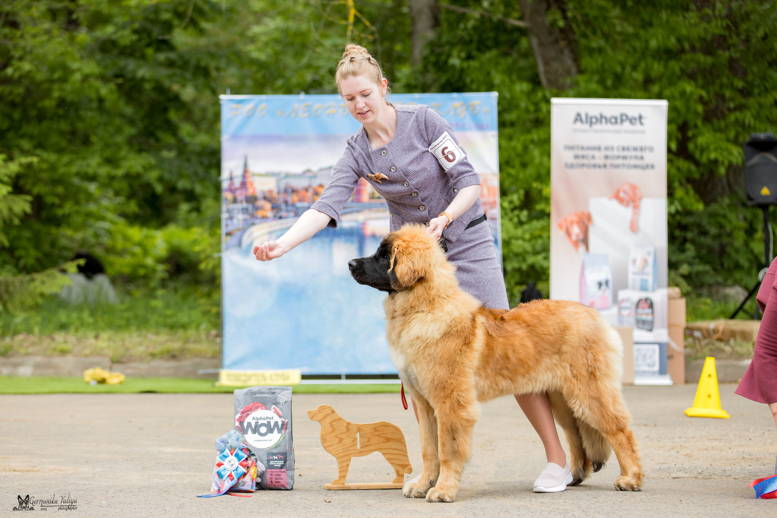 Националка Леонбергеров 28.05.2023. Фотограф-анималист Юлия Германика