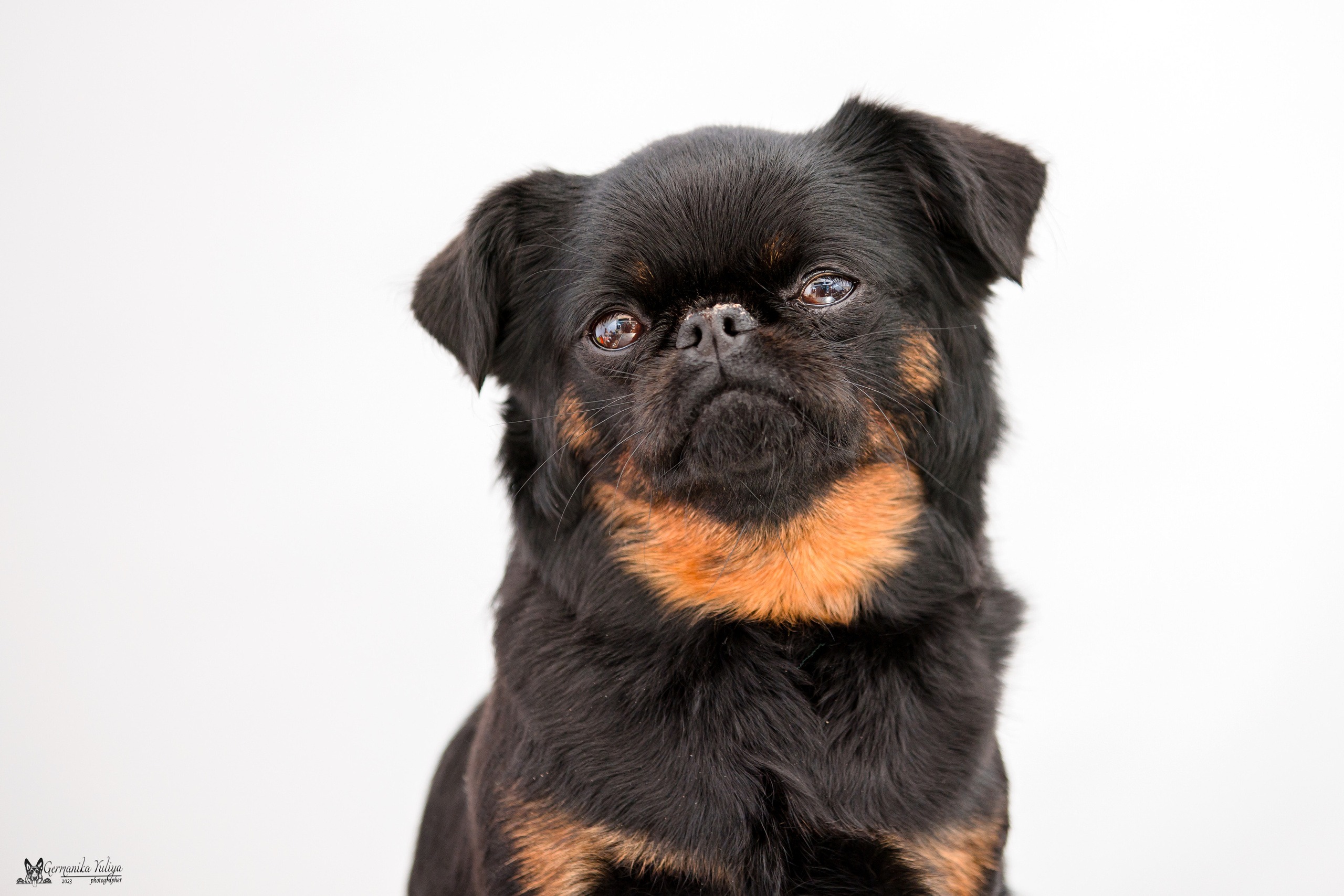 Измайлово 21.05.2023. Фотограф-анималист Юлия Германика