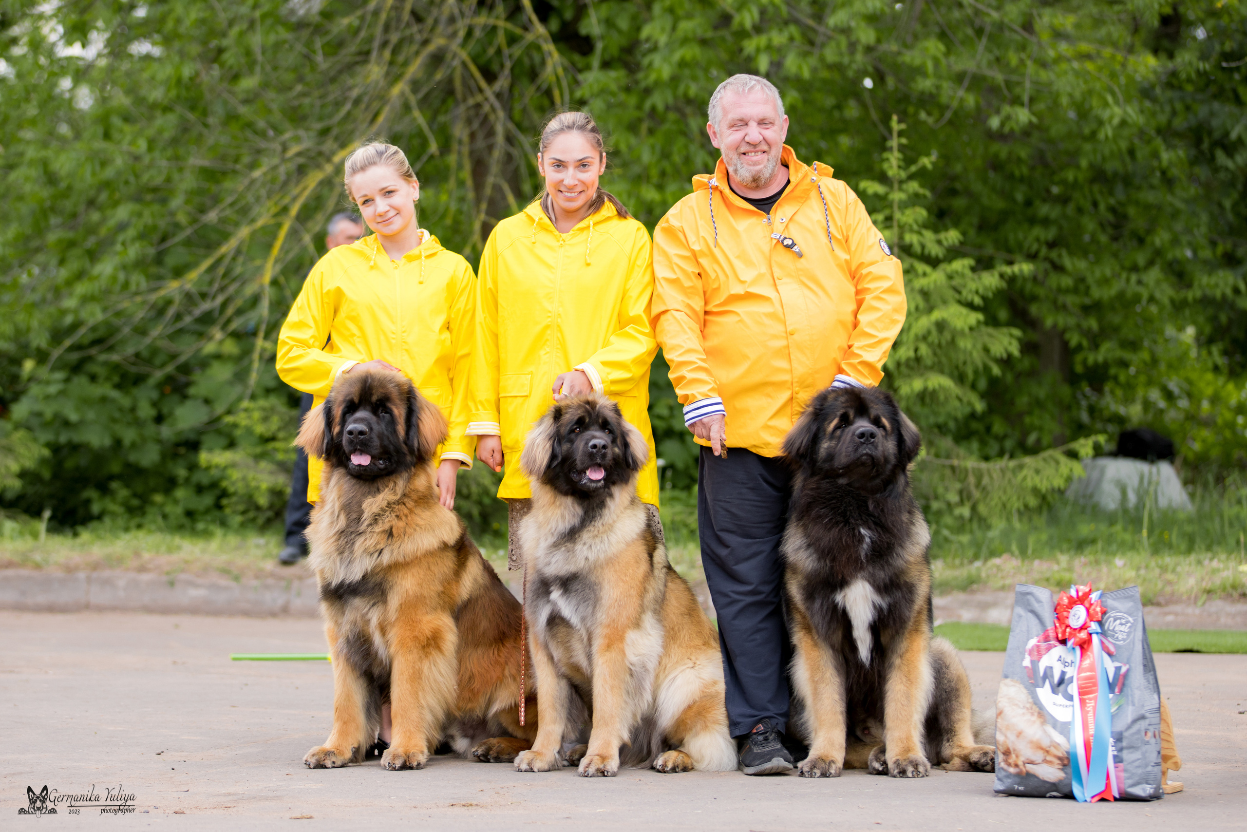 Националка Леонбергеров 28.05.2023. Фотограф-анималист Юлия Германика