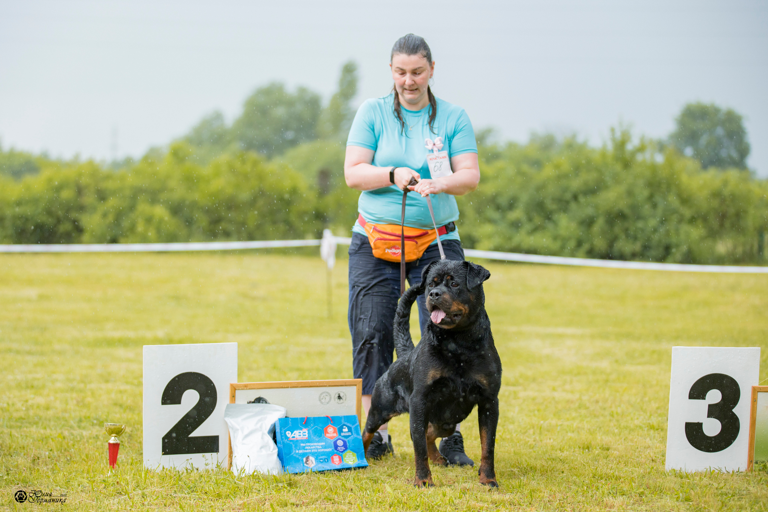 Воронеж 2хмоно ротвейлеров 3-4.06.2023. Фотограф-анималист Юлия Германика