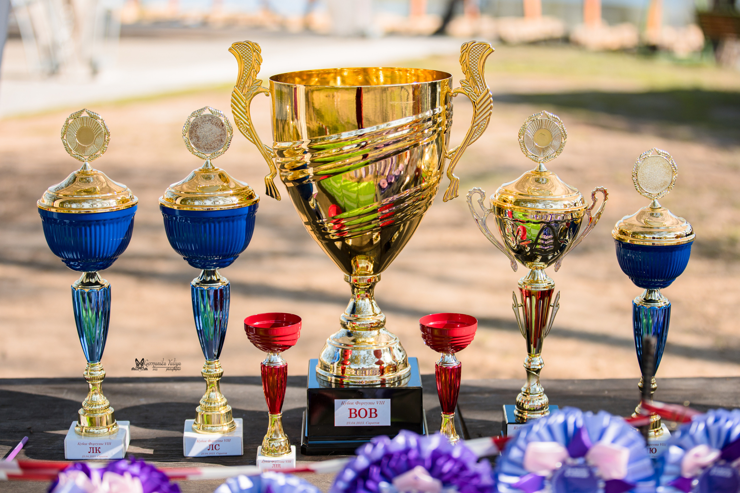 Саратов 2хмоно ротвейлеров 22-23.04.2023. Фотограф-анималист Юлия Германика