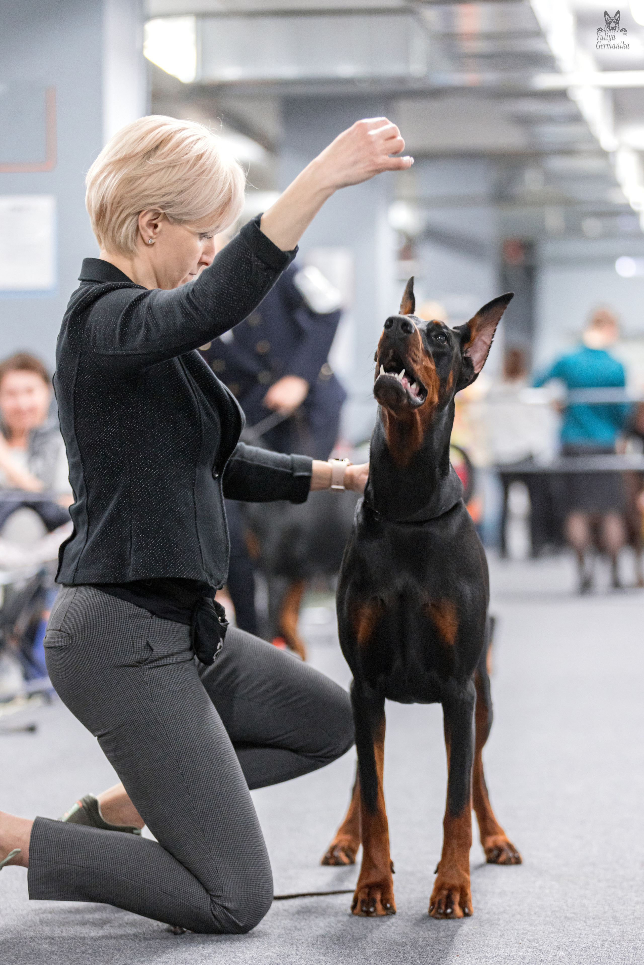 Сфера+доберманы 02.04.2023. Фотограф-анималист Юлия Германика