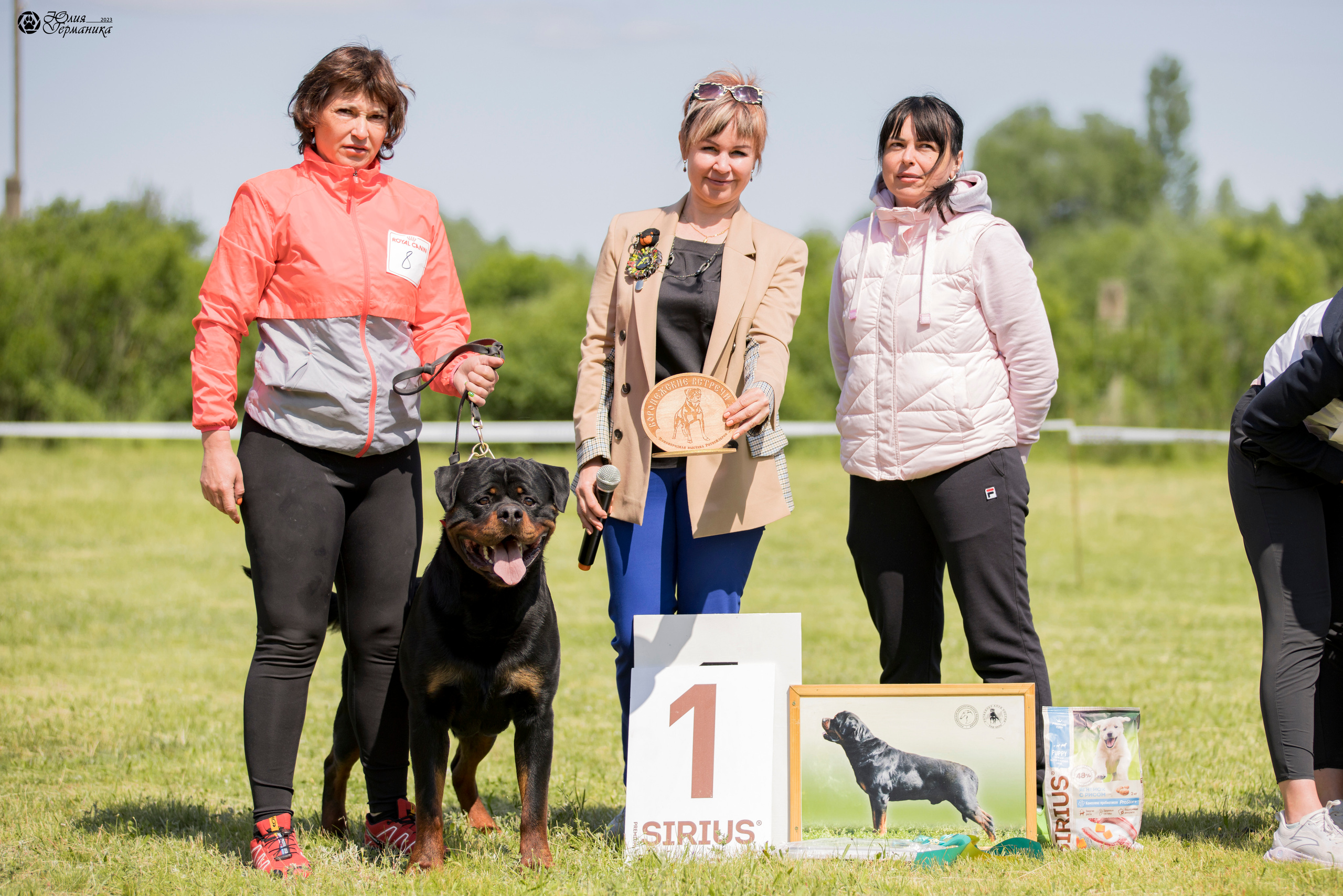 Воронеж 2хмоно ротвейлеров 3-4.06.2023. Фотограф-анималист Юлия Германика