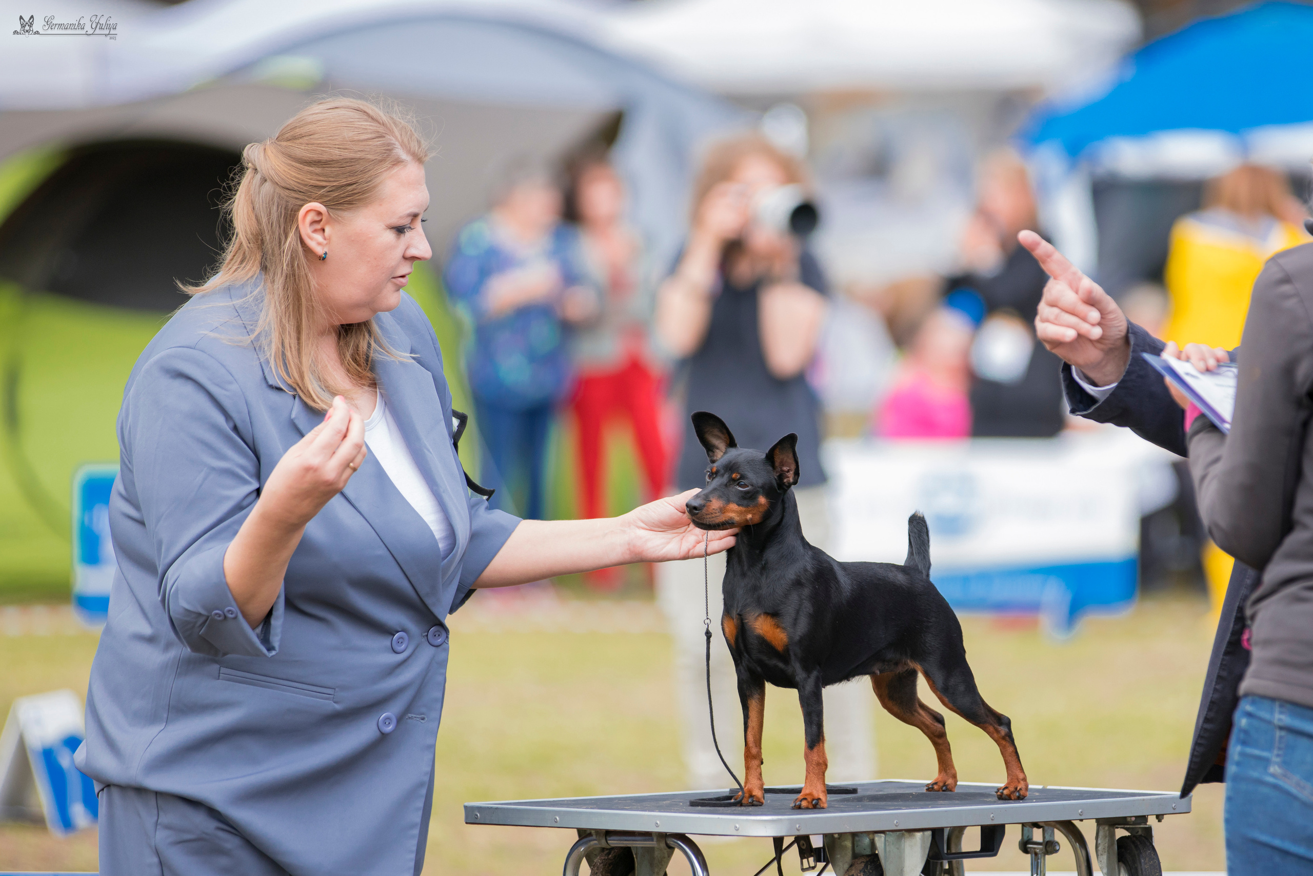 Владимир 1-2.07.2023. Фотограф-анималист Юлия Германика