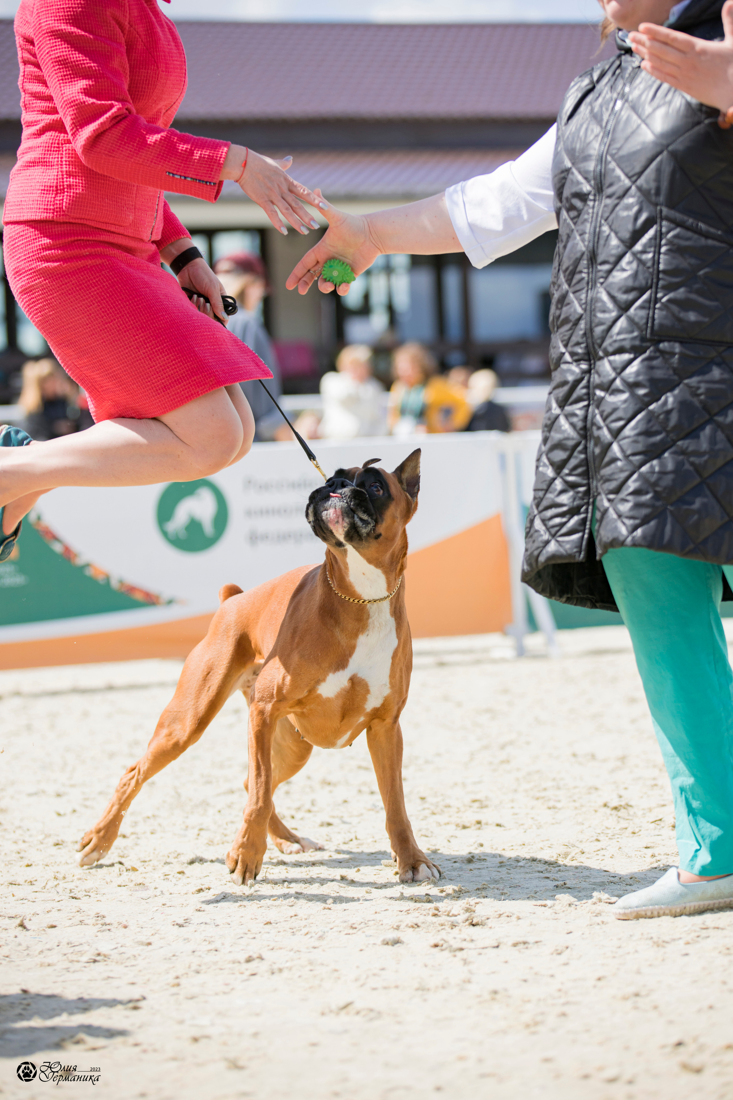 Россия 10-11.06.2023. Фотограф-анималист Юлия Германика
