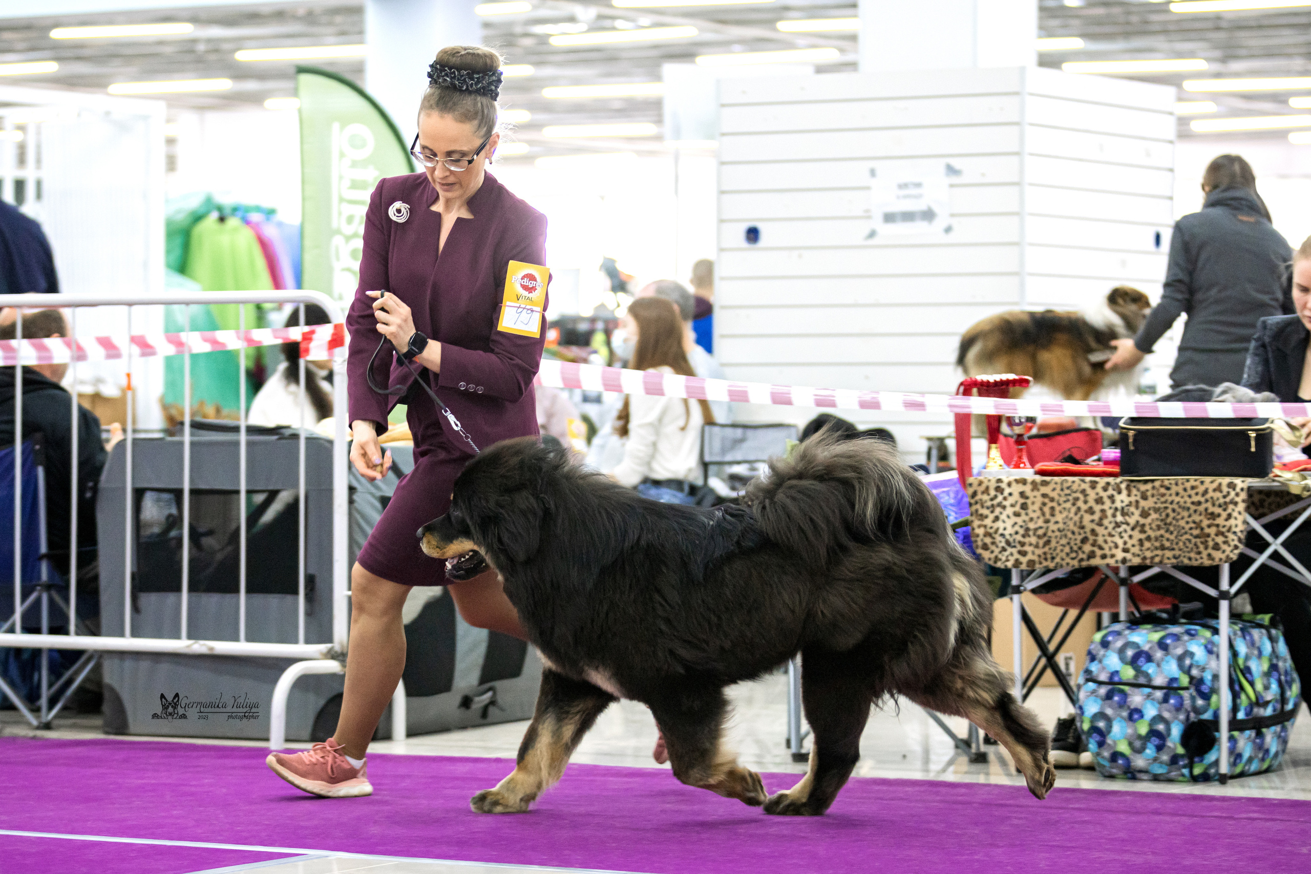 Сфера+МД 8-9.04.2023. Фотограф-анималист Юлия Германика