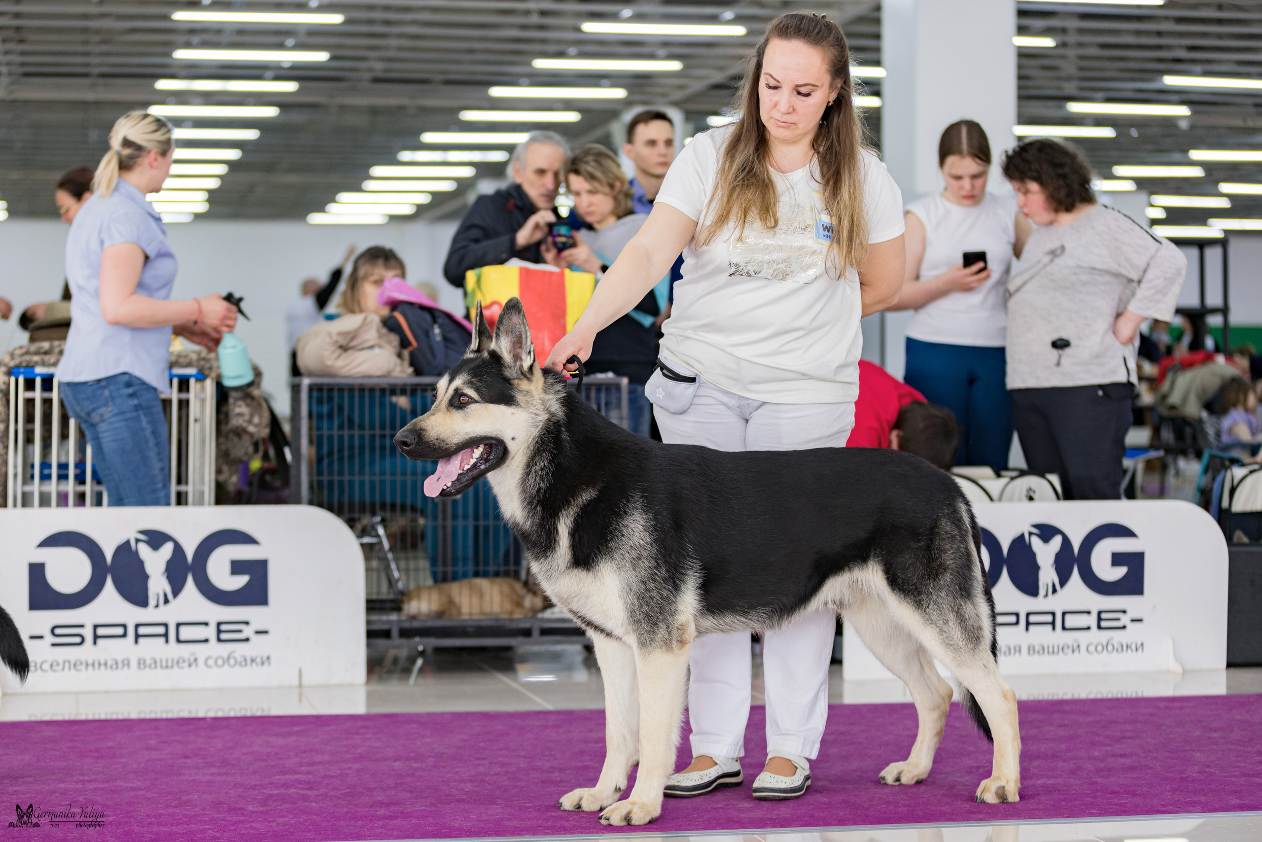 МД 15.04.2023. Фотограф-анималист Юлия Германика
