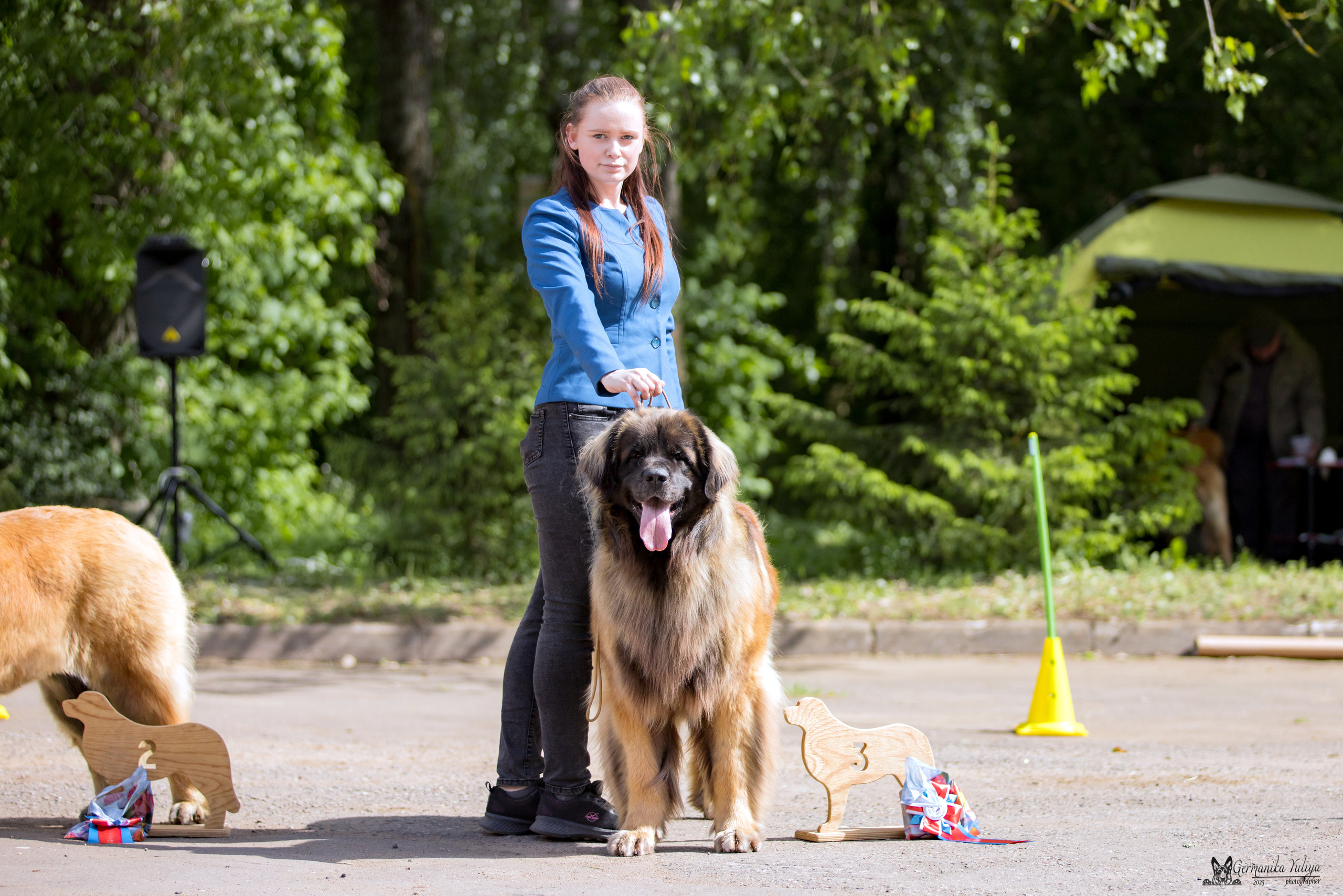 Националка Леонбергеров 28.05.2023. Фотограф-анималист Юлия Германика