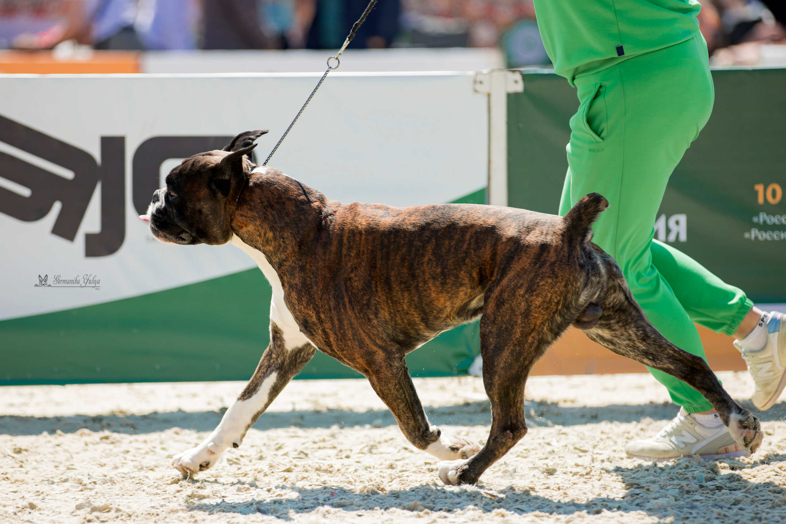 Россия 10-11.06.2023. Фотограф-анималист Юлия Германика