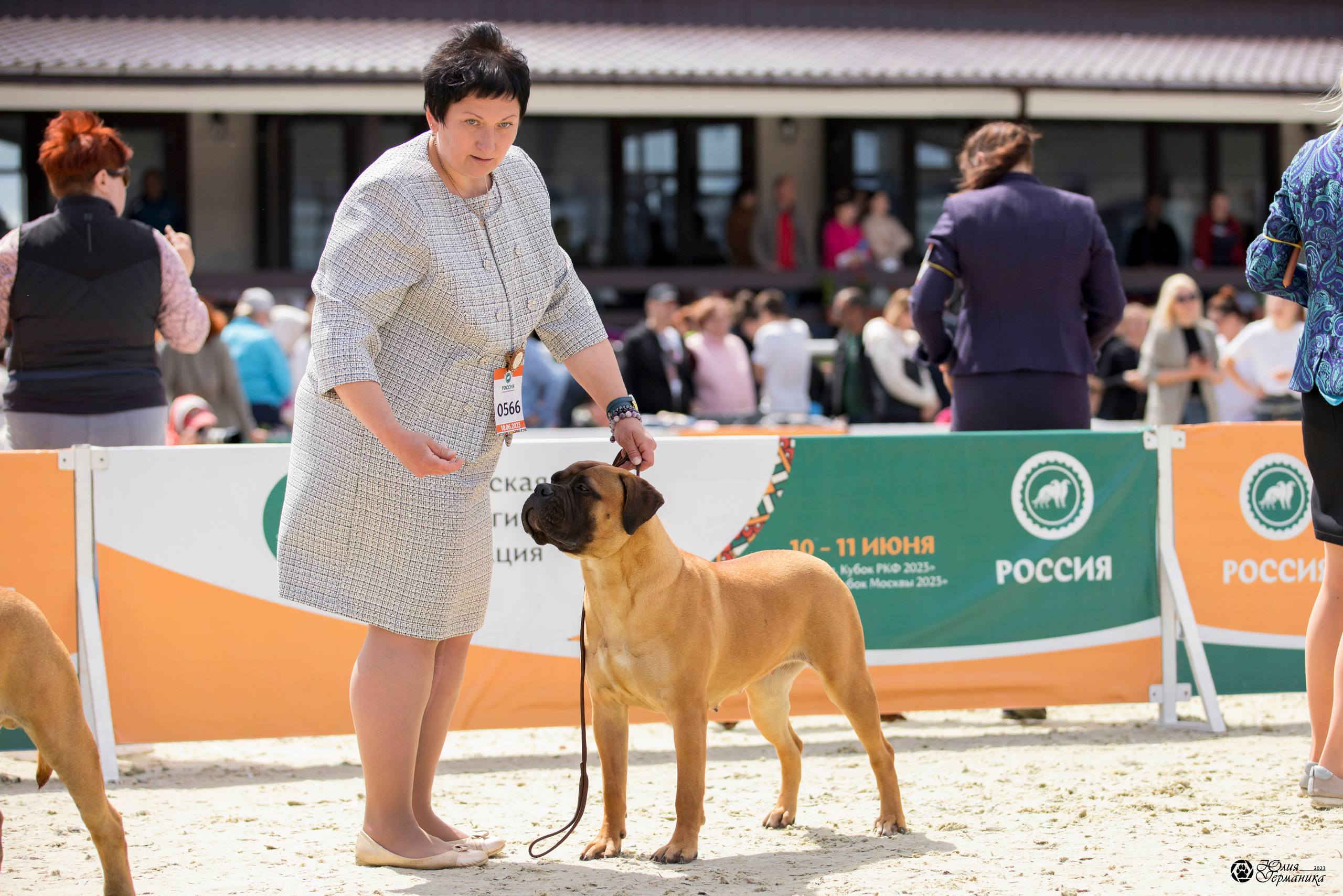 Россия 10-11.06.2023. Фотограф-анималист Юлия Германика
