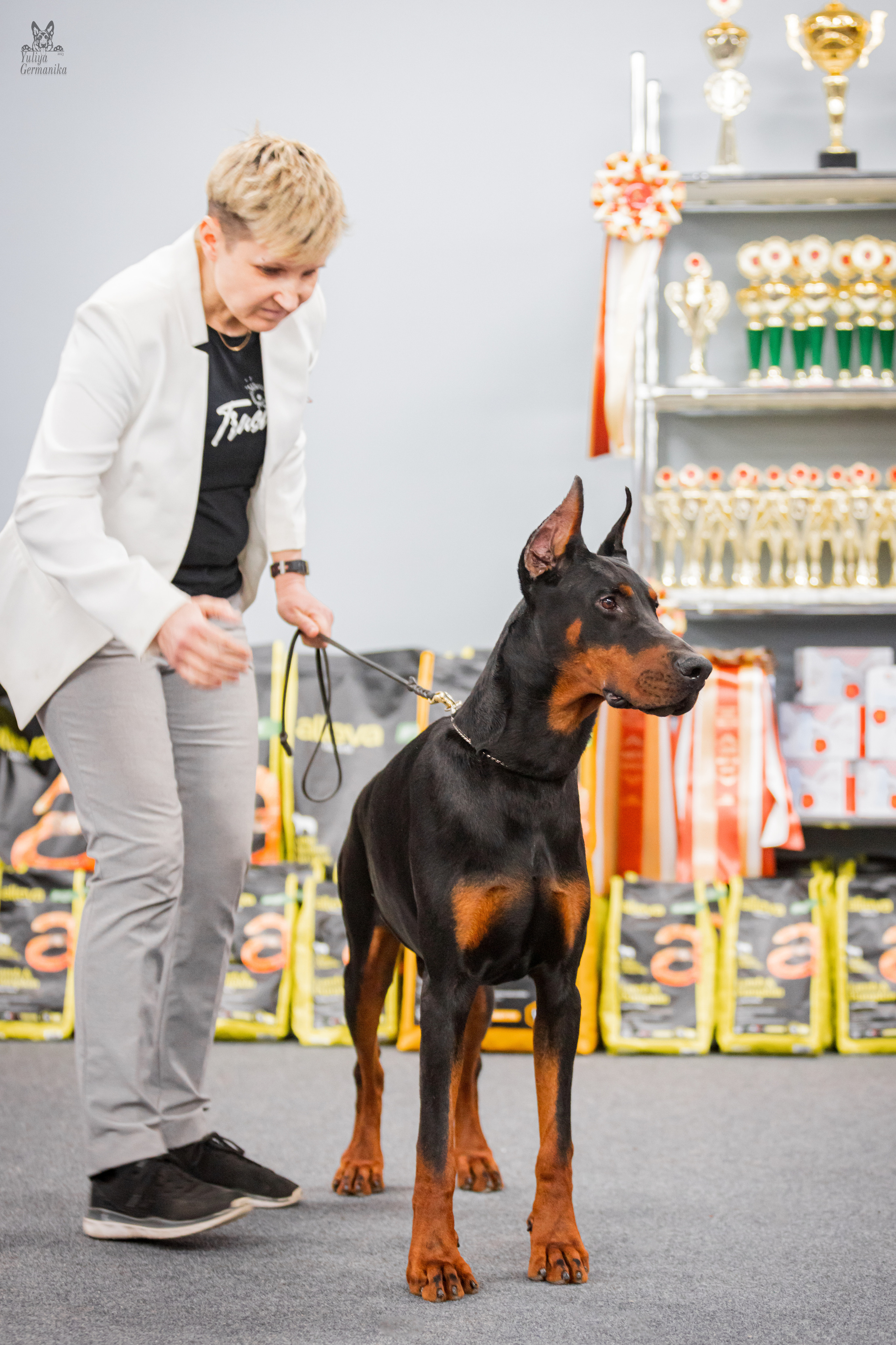 Сфера+доберманы 02.04.2023. Фотограф-анималист Юлия Германика