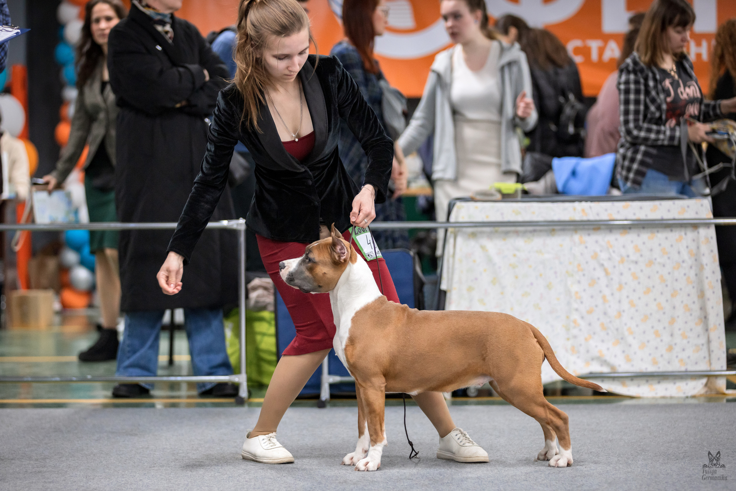 Сфера 25-26.03.2023. Фотограф-анималист Юлия Германика