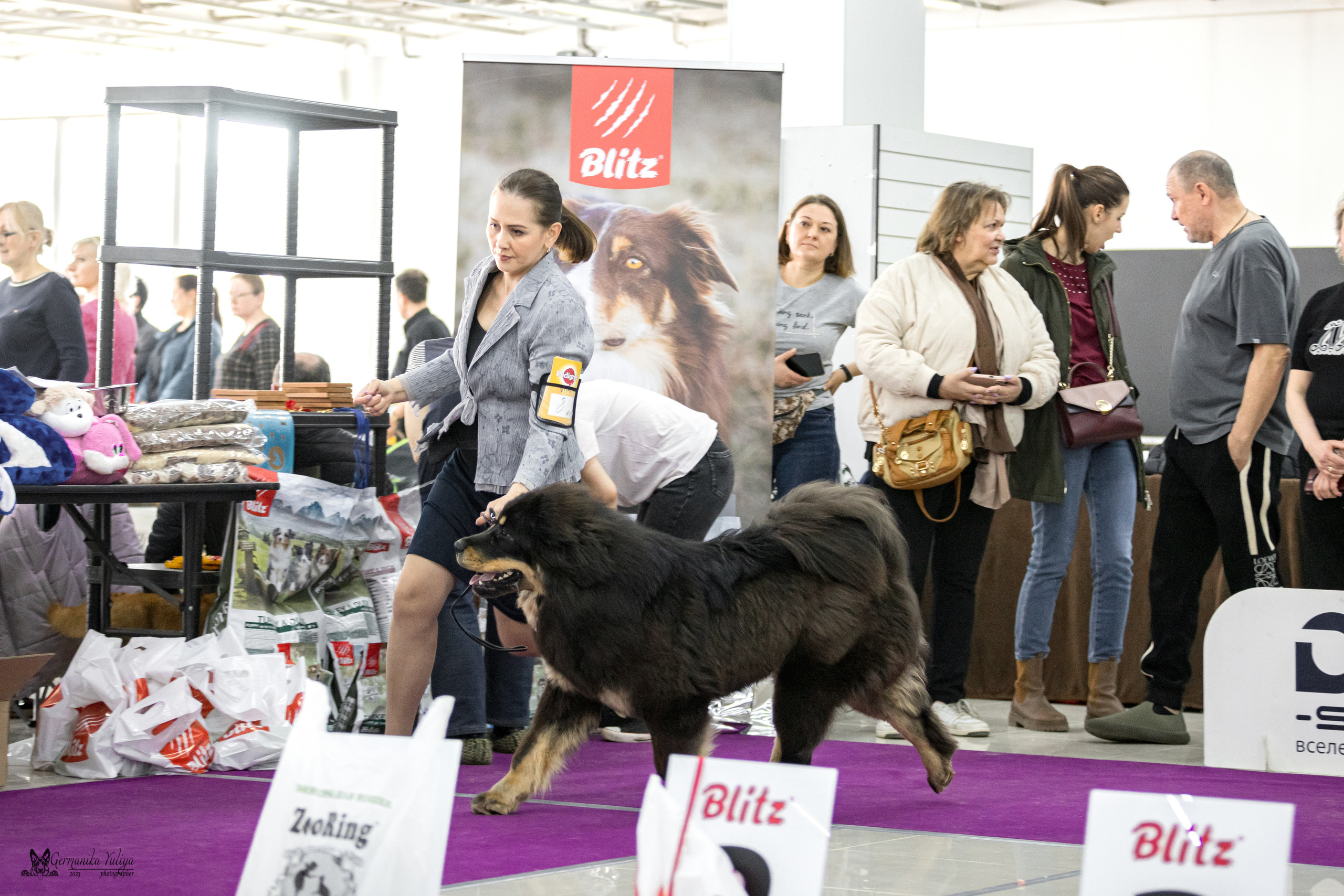 Сфера+МД 8-9.04.2023. Фотограф-анималист Юлия Германика