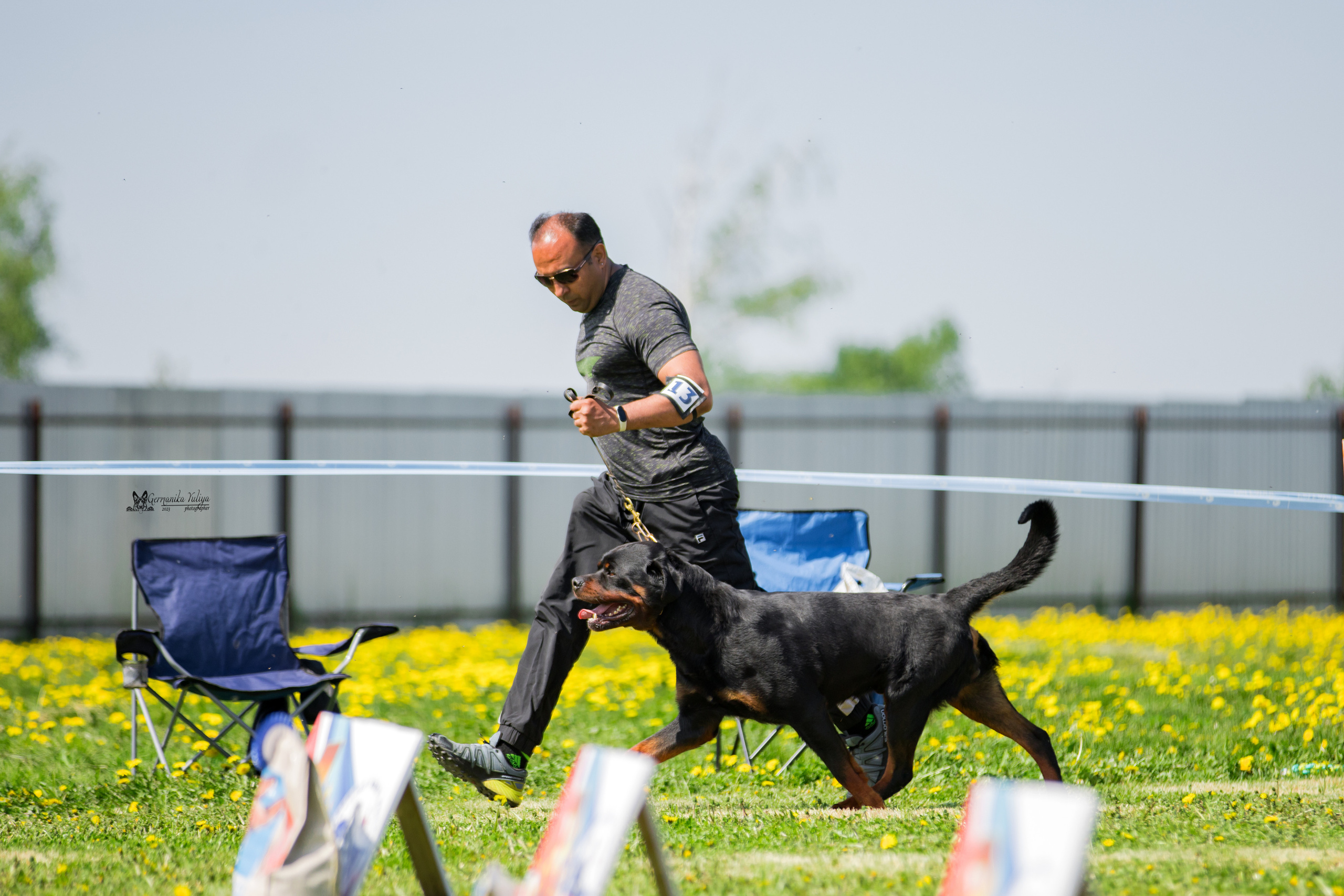 Нижний Новгород моно ротвейлеров 13.05.2023. Фотограф-анималист Юлия Германика