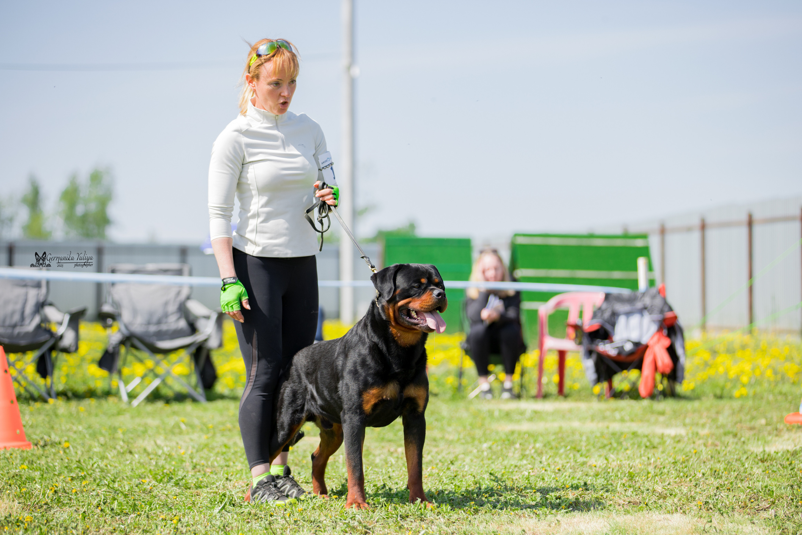 Нижний Новгород моно ротвейлеров 13.05.2023. Фотограф-анималист Юлия Германика