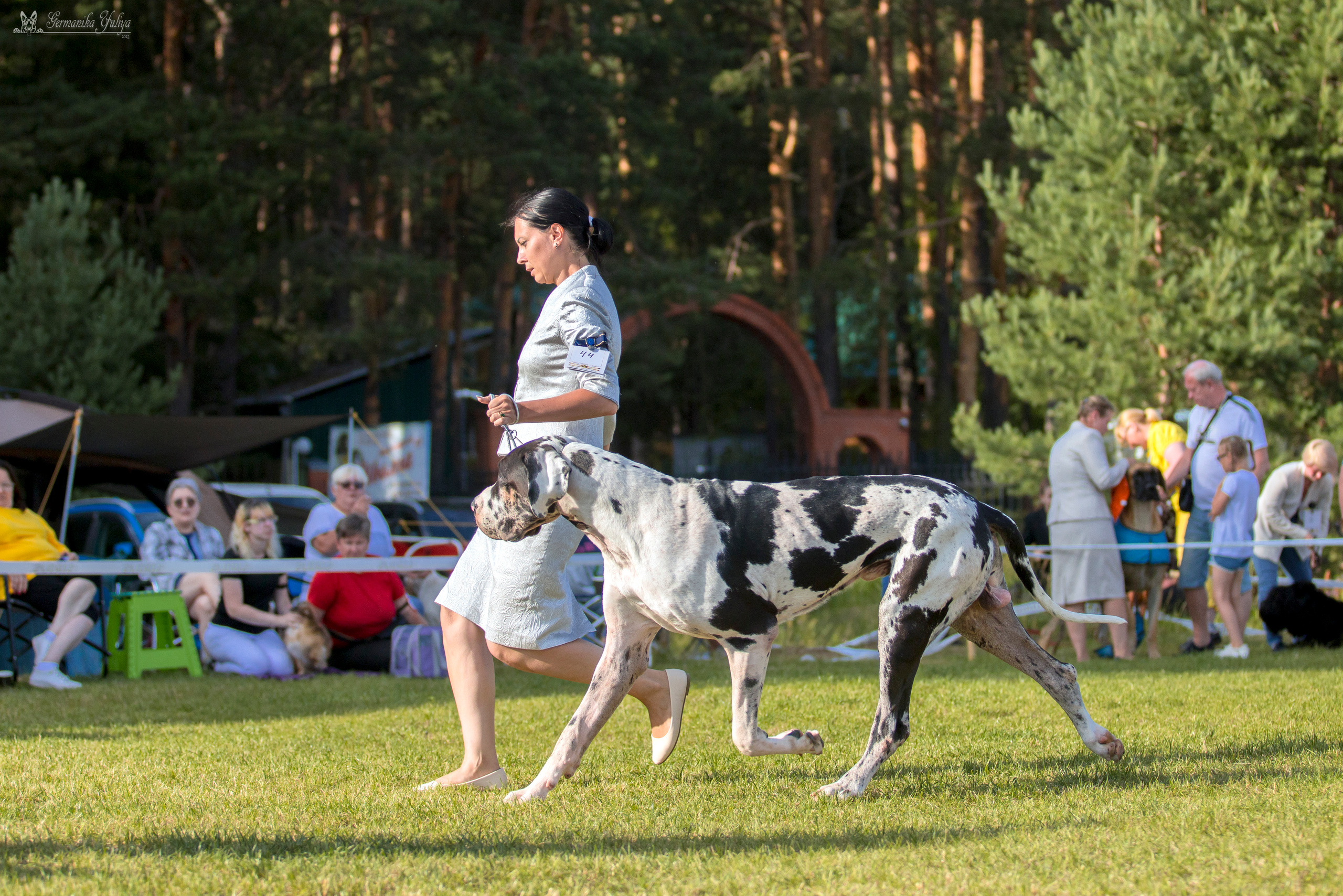 Волжанка 8.07.2023. Фотограф-анималист Юлия Германика