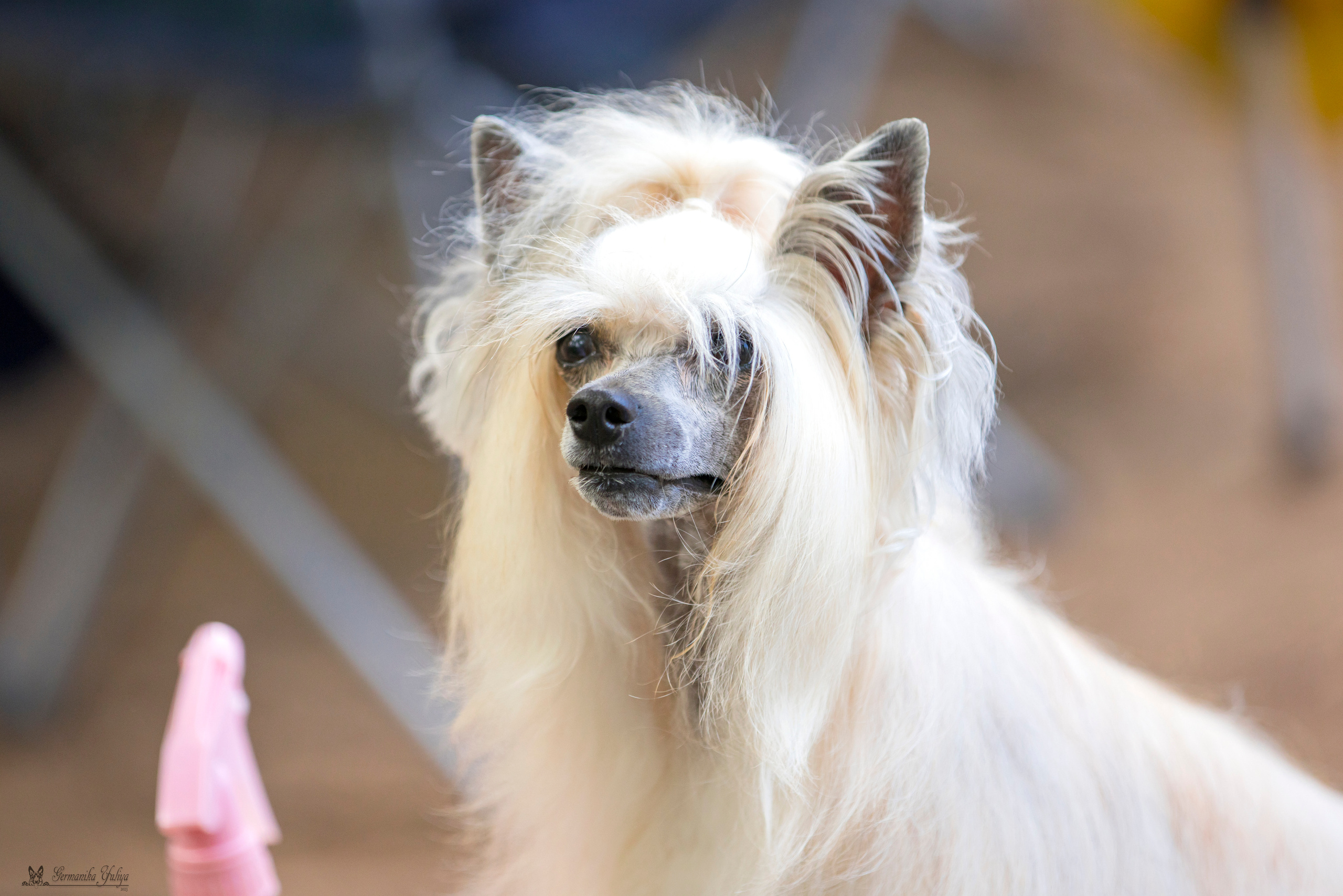 Ховрино 24.06.2023