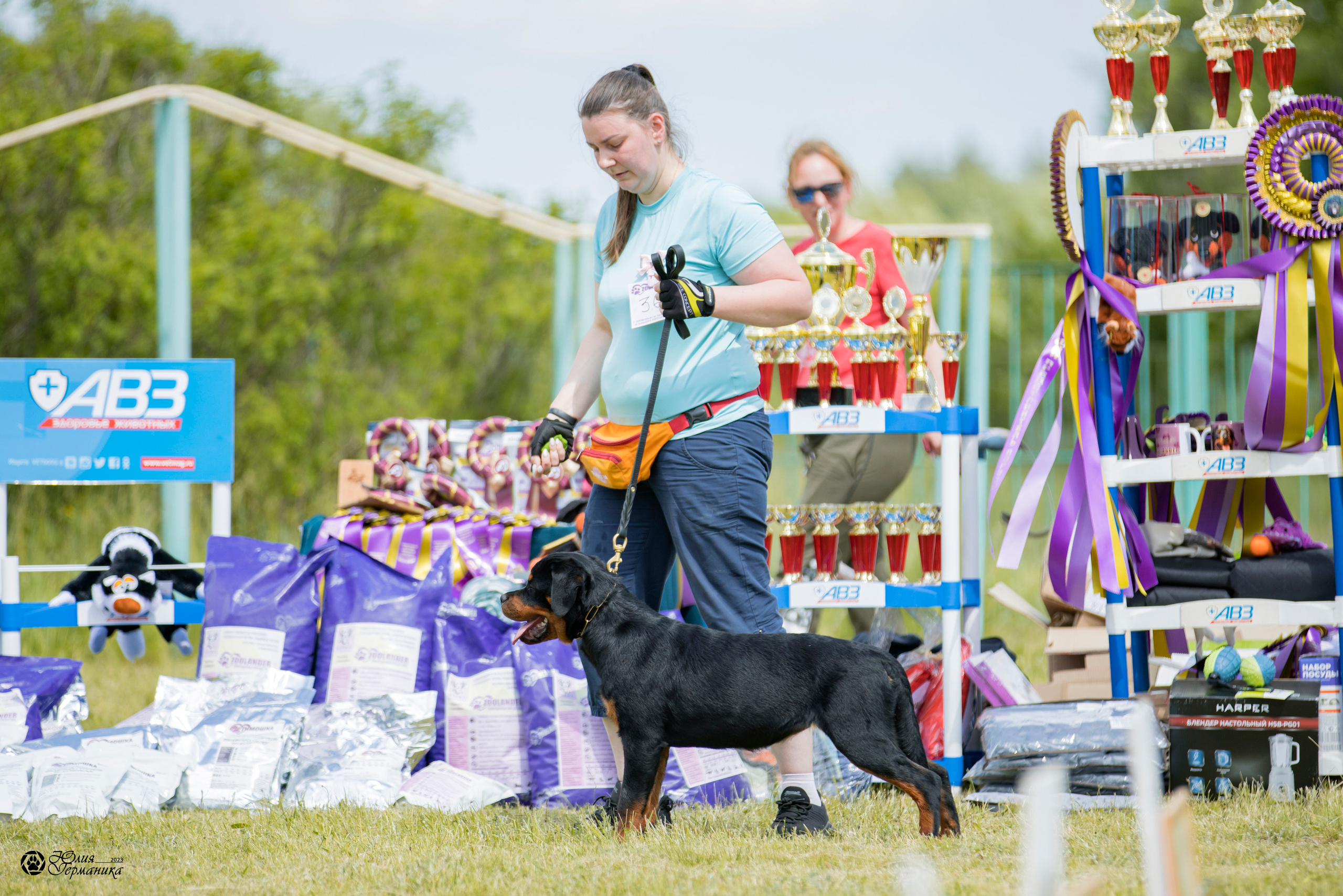 Воронеж 2хмоно ротвейлеров 3-4.06.2023. Фотограф-анималист Юлия Германика