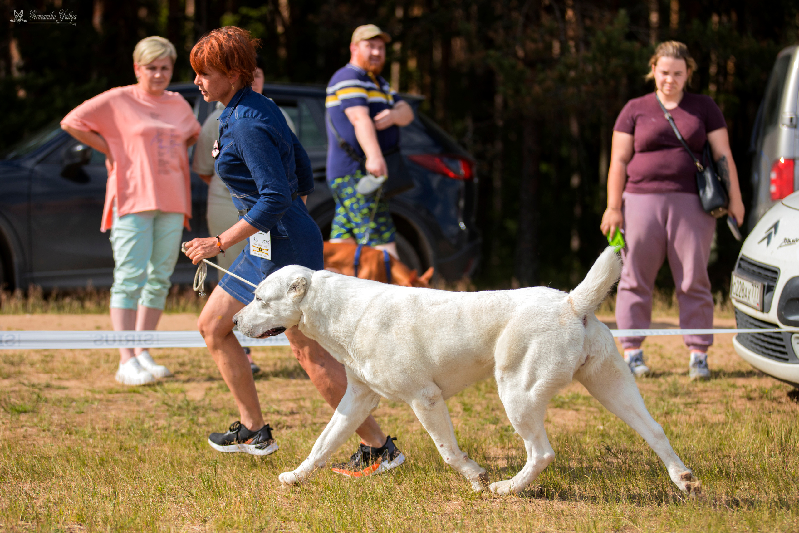 Волжанка 8.07.2023. Фотограф-анималист Юлия Германика