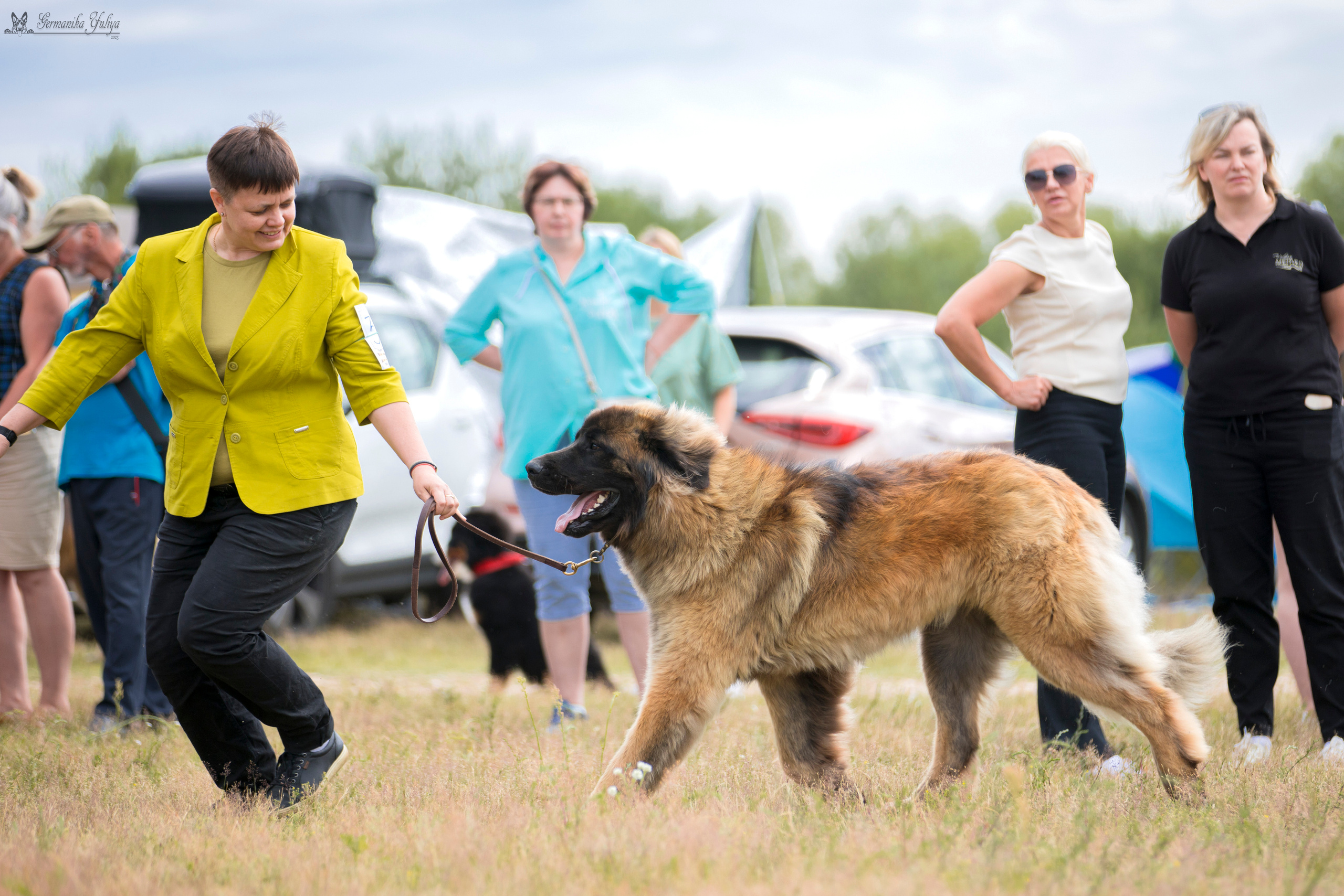 Волжанка 8.07.2023. Фотограф-анималист Юлия Германика