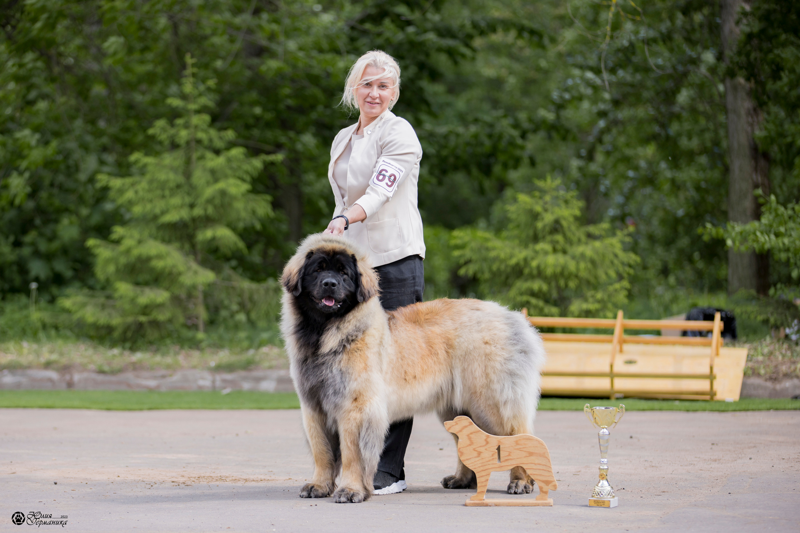 Националка Леонбергеров 28.05.2023. Фотограф-анималист Юлия Германика