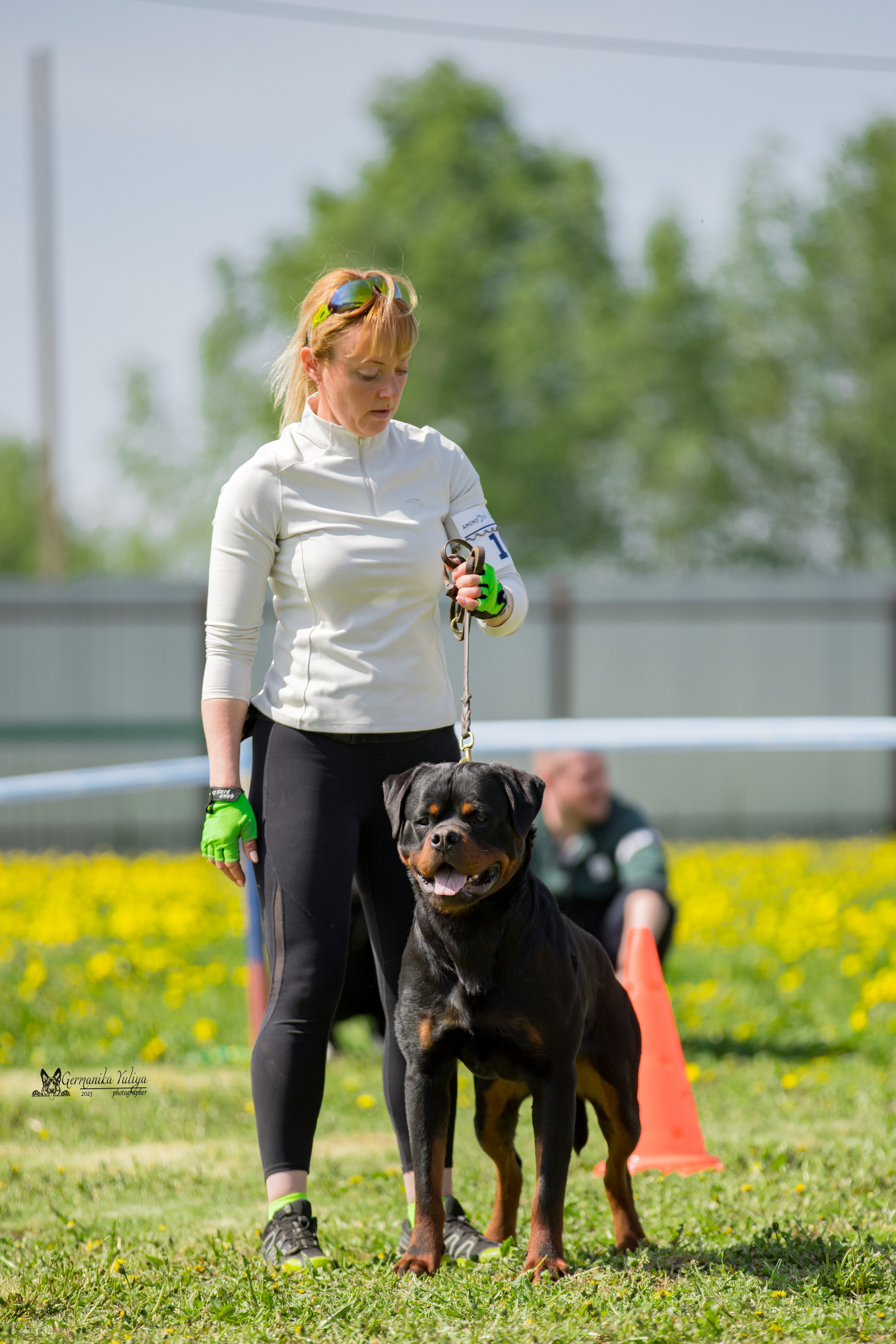 Нижний Новгород моно ротвейлеров 13.05.2023. Фотограф-анималист Юлия Германика