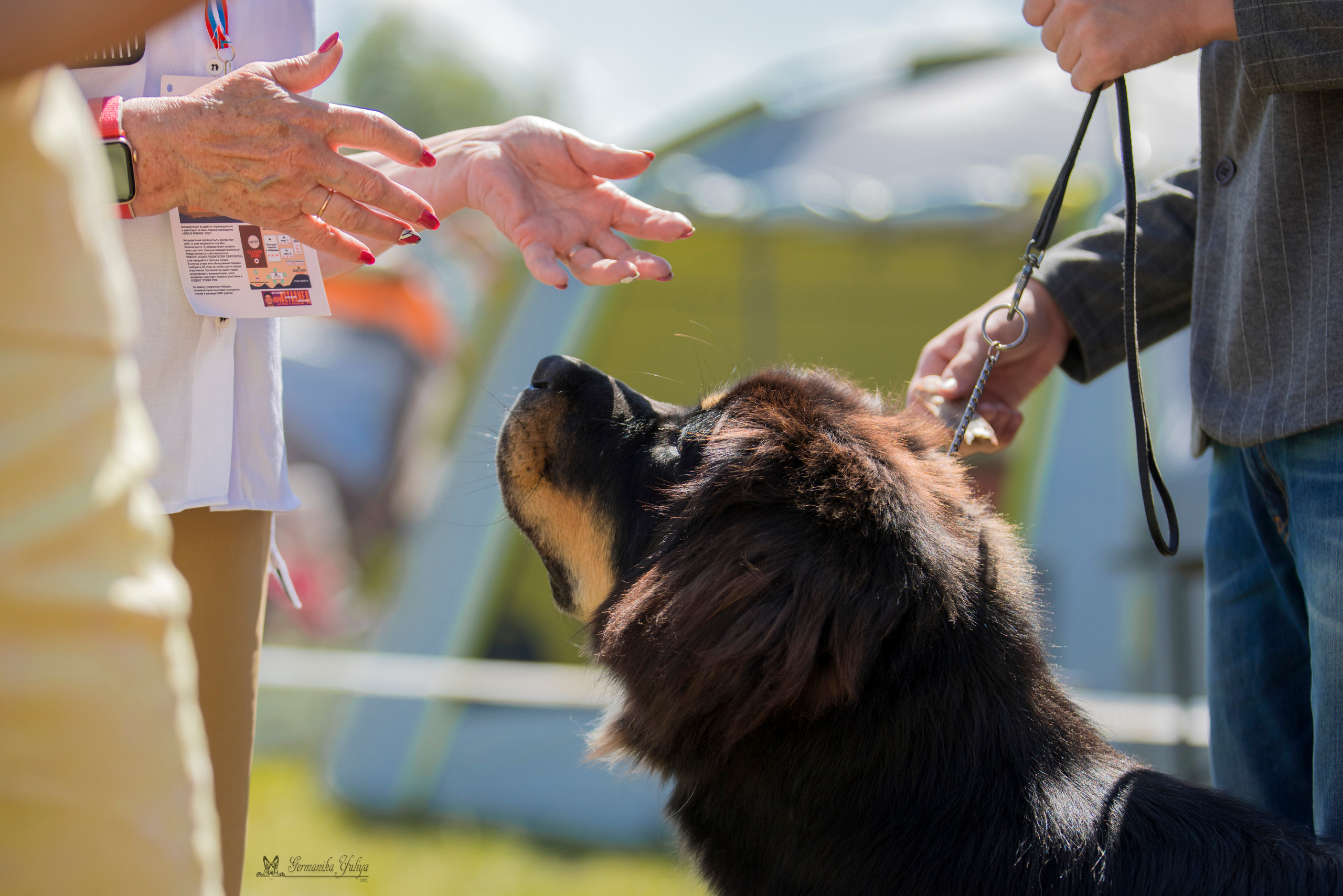 Волжанка 8.07.2023. Фотограф-анималист Юлия Германика