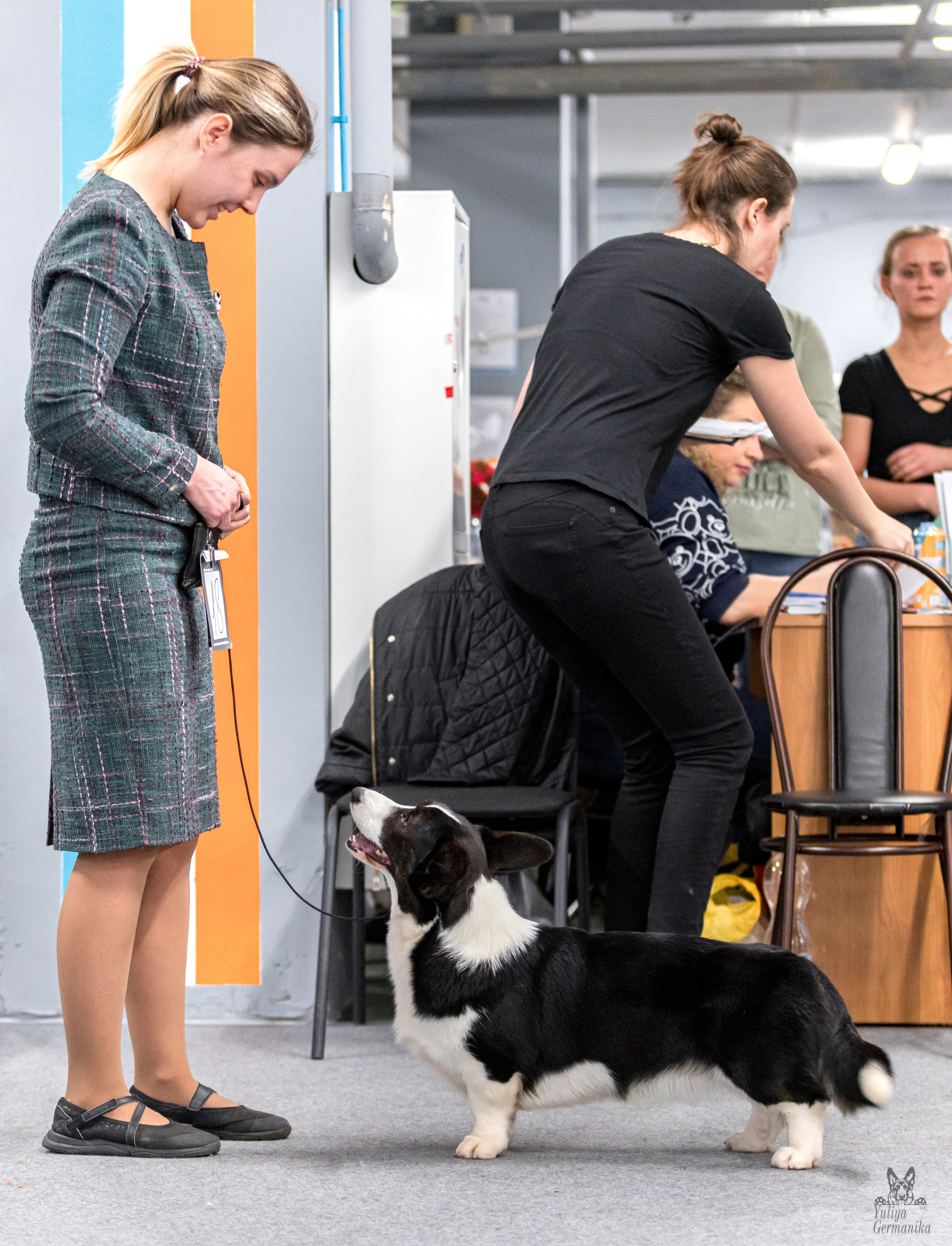 Сфера+доберманы 02.04.2023. Фотограф-анималист Юлия Германика