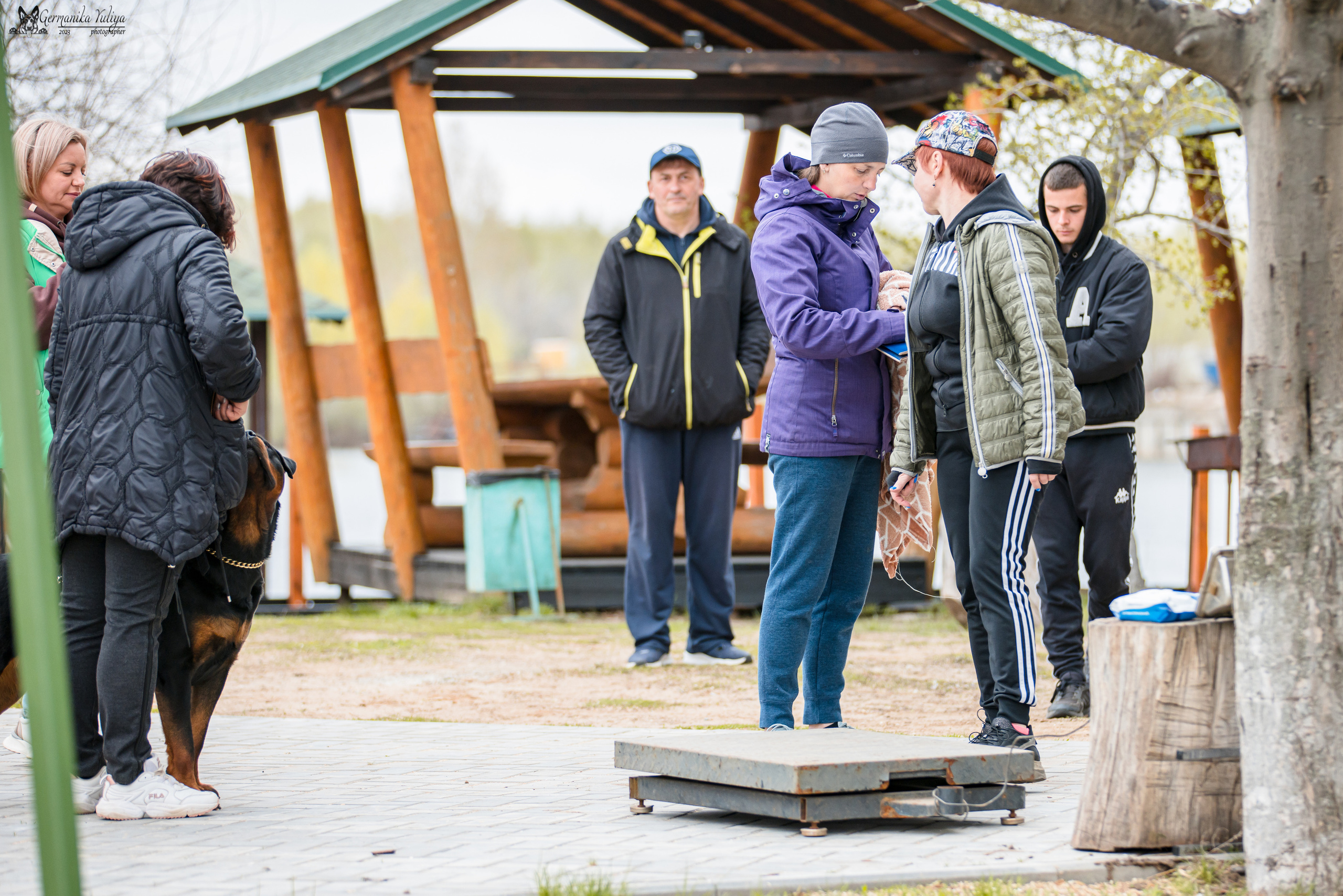 Саратов 2хмоно ротвейлеров 22-23.04.2023. Фотограф-анималист Юлия Германика