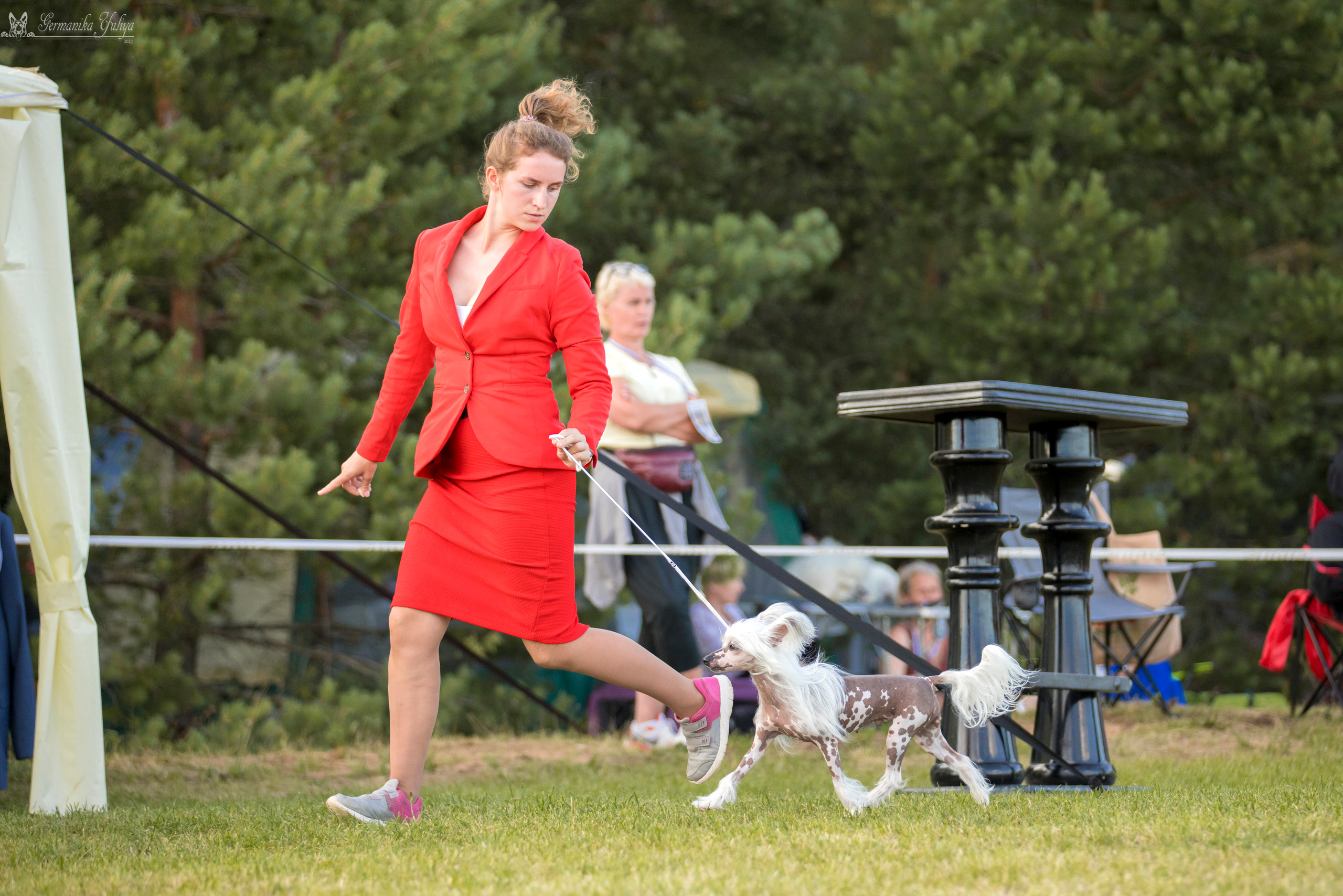 Волжанка 8.07.2023. Фотограф-анималист Юлия Германика